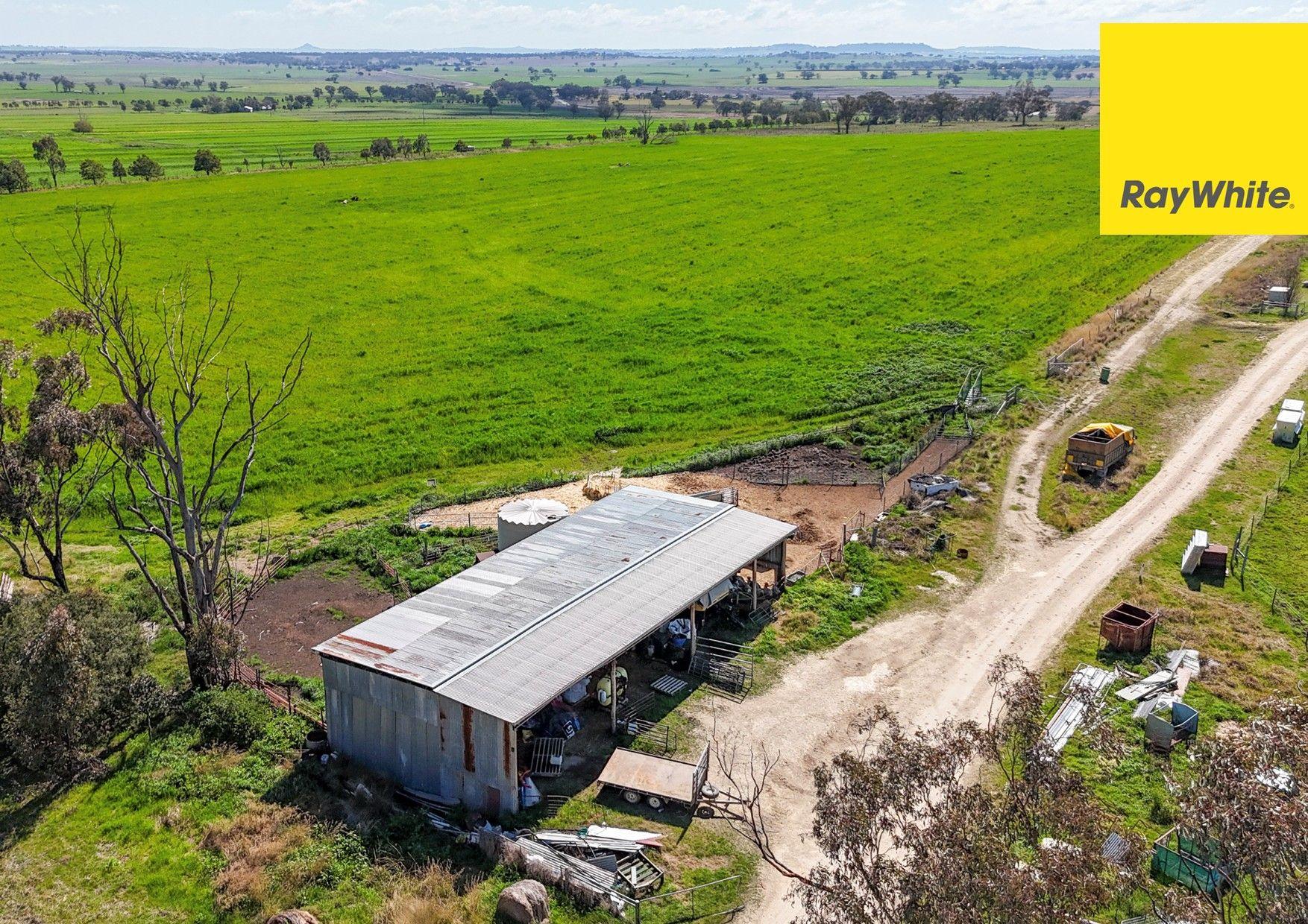 Lifestyle for Sale: Inverell, NSW 2360, NSW, 2360