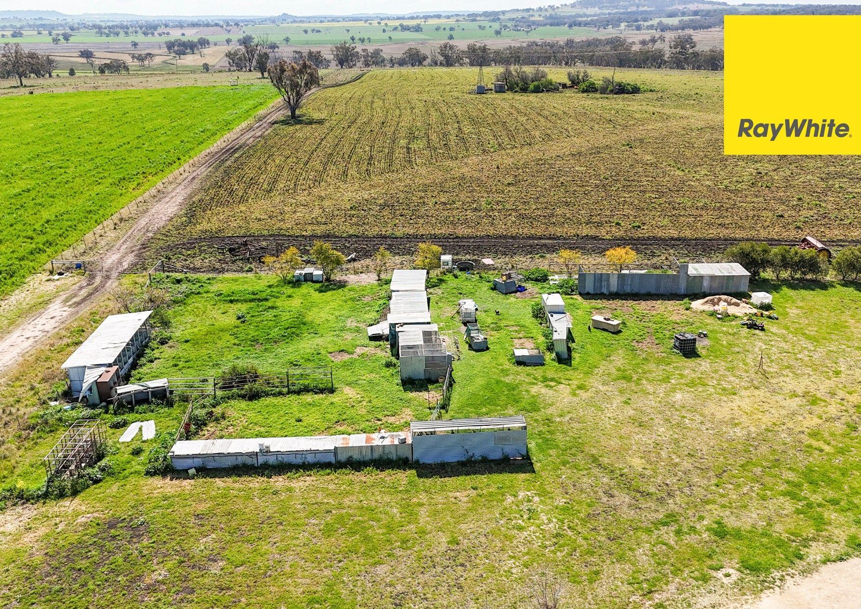 Lifestyle for Sale: Inverell, NSW 2360, NSW, 2360