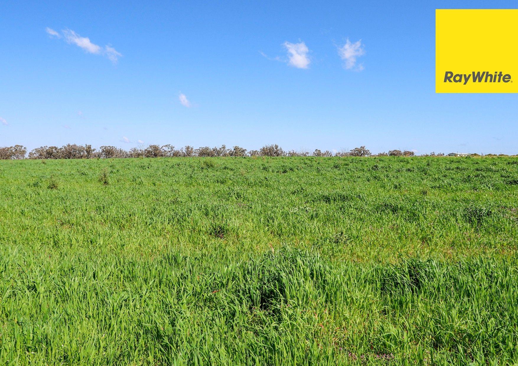 Lifestyle for Sale: Inverell, NSW 2360, NSW, 2360
