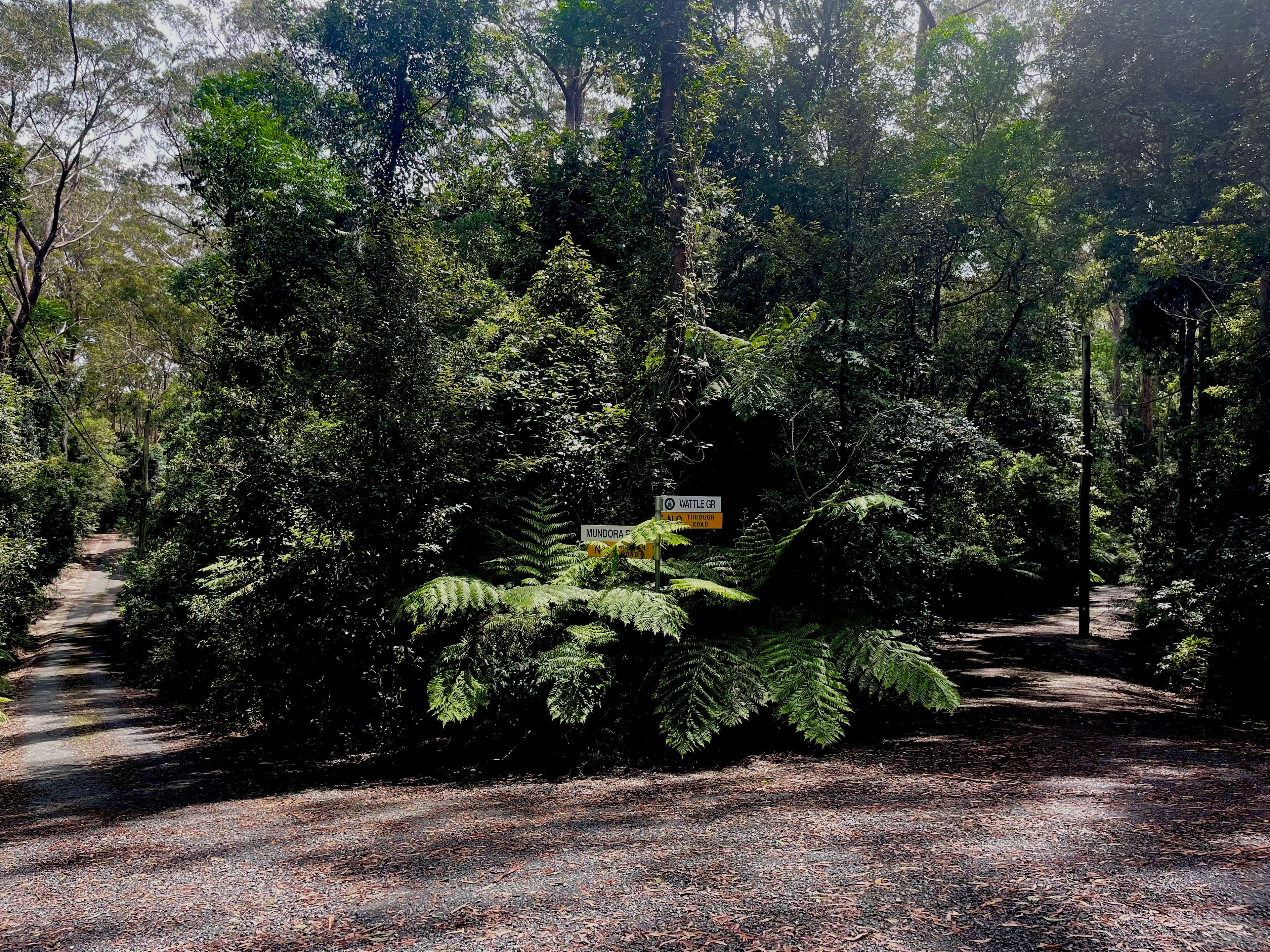 Prop-GPT: Land: QLD Springbrook, QLD 4213 Home For Sale