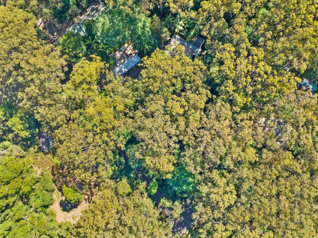 Land for Sale: Springbrook, QLD 4213, QLD, 4213