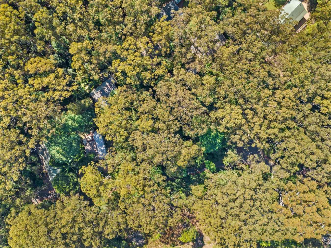 Land for Sale: Springbrook, QLD 4213, QLD, 4213