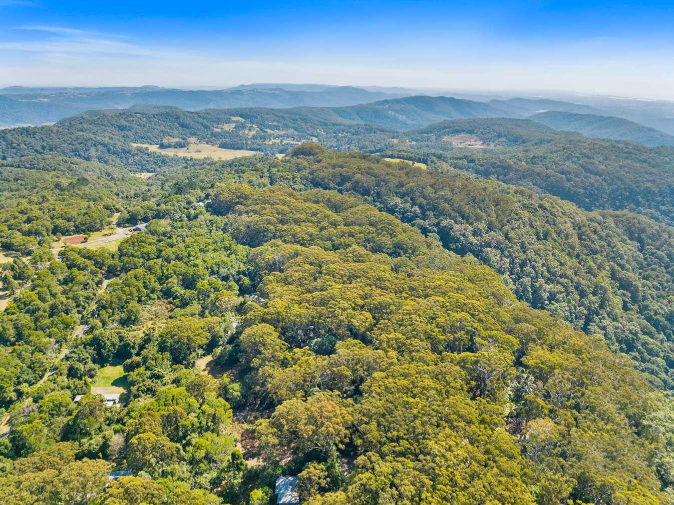 Land for Sale: Springbrook, QLD 4213, QLD, 4213