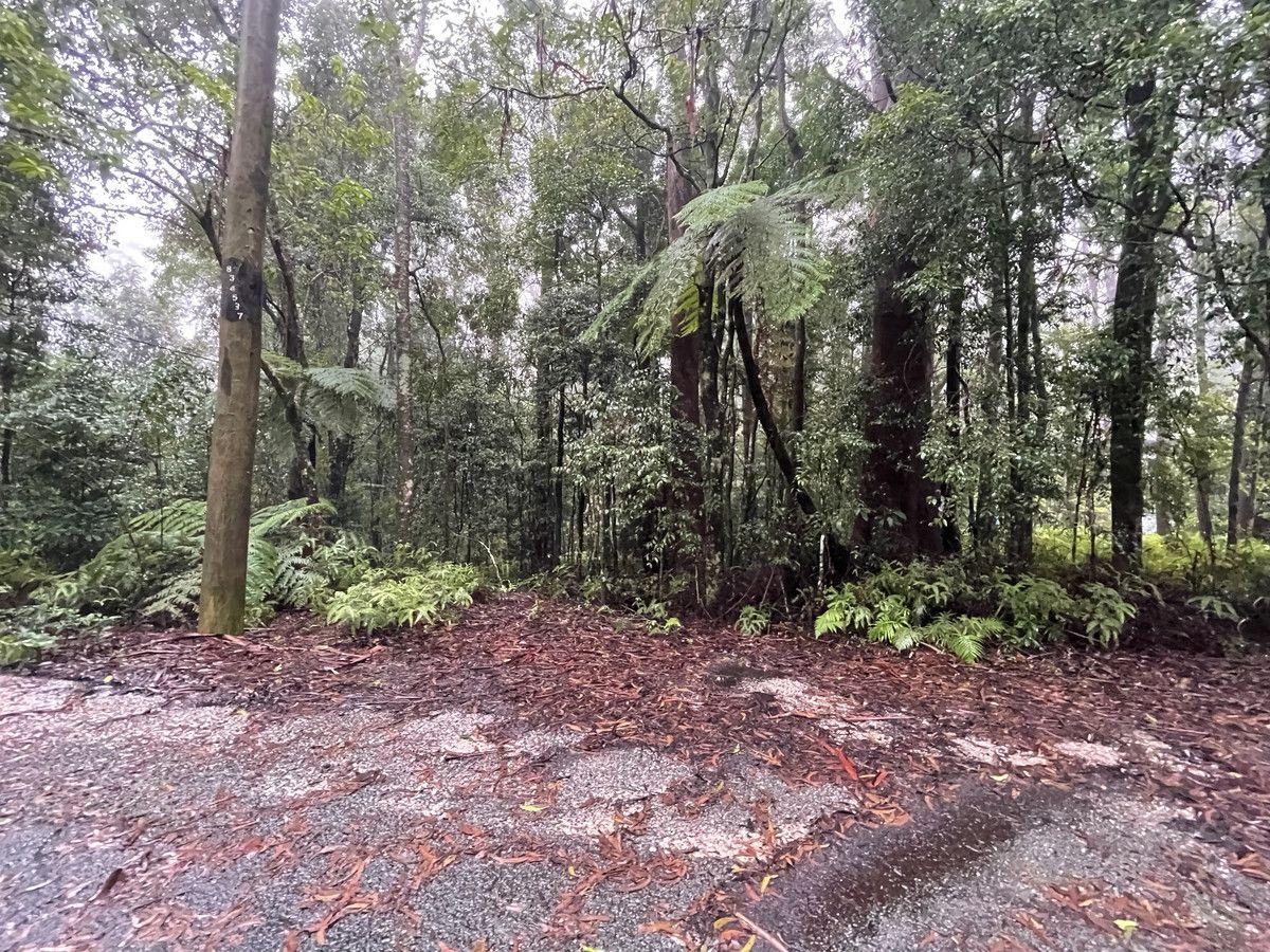 Land for Sale: Springbrook, QLD 4213, QLD, 4213