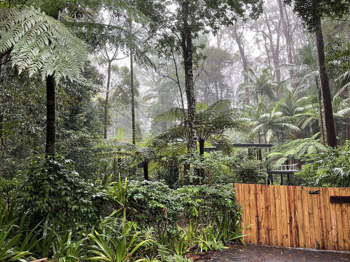 Land for Sale: Springbrook, QLD 4213, QLD, 4213