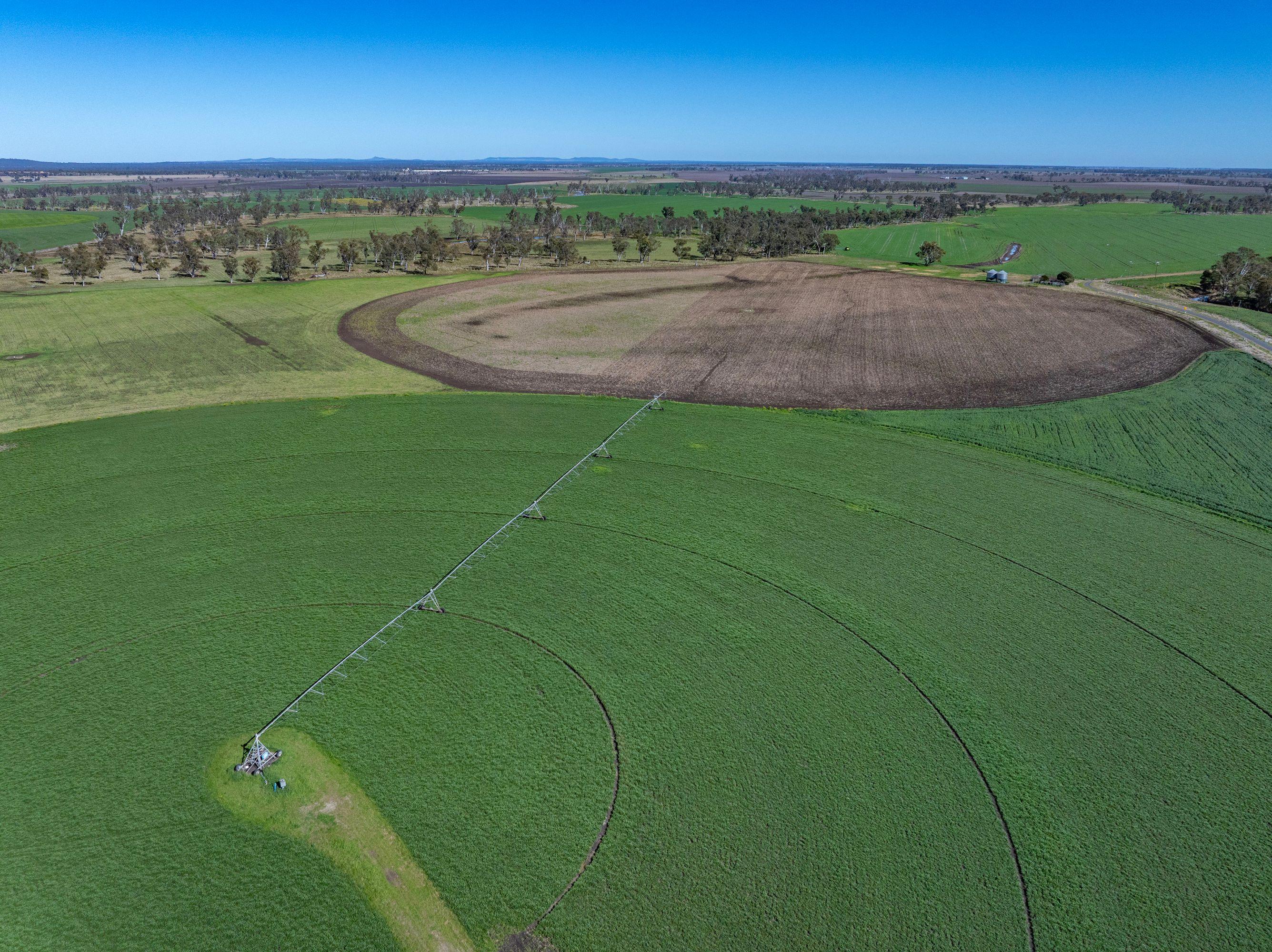 Prop-GPT: Cropping: QLD Ellangowan, QLD 4361 Rural