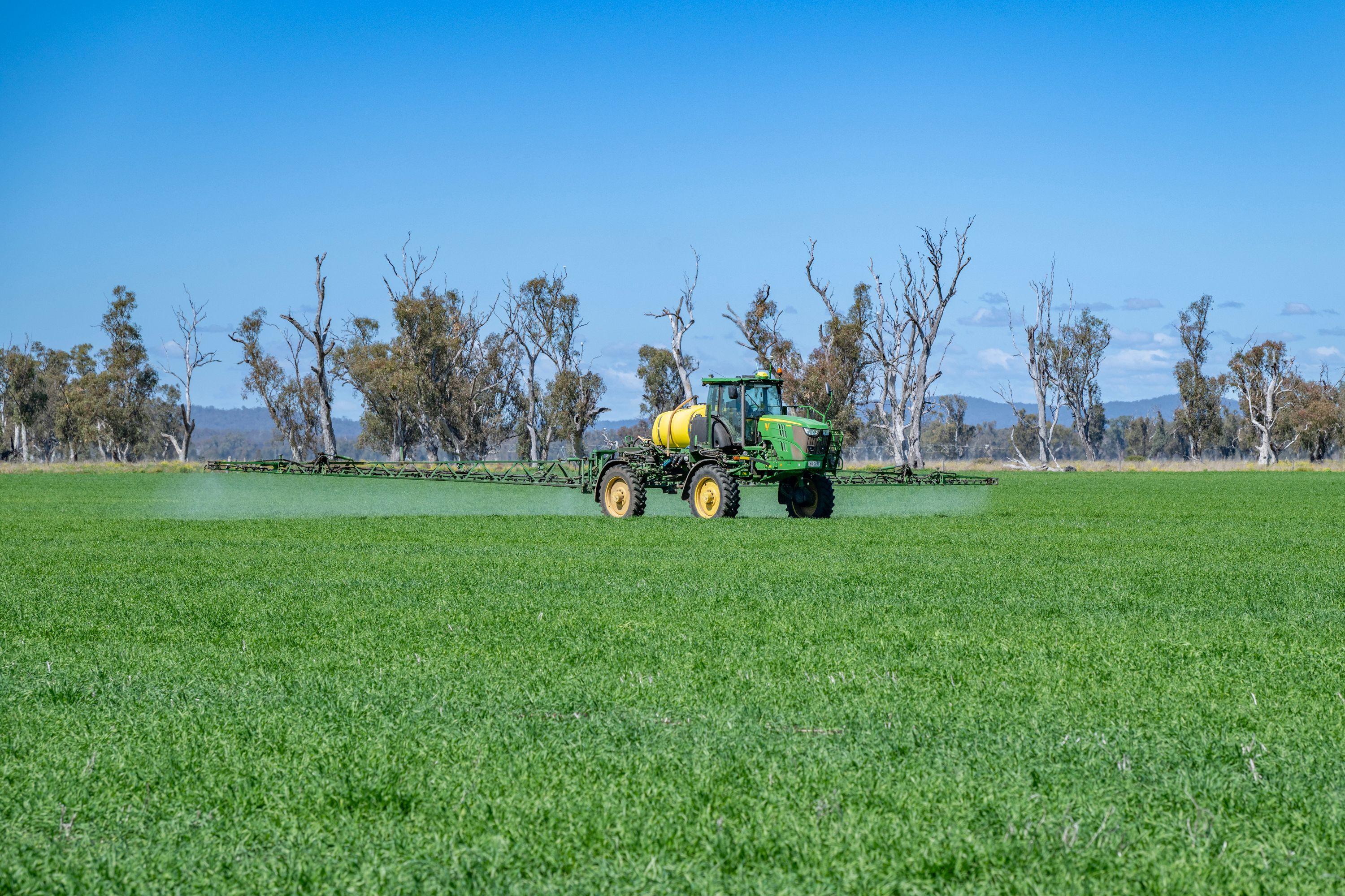 Cropping for Sale: Ellangowan, QLD 4361, QLD, 4361