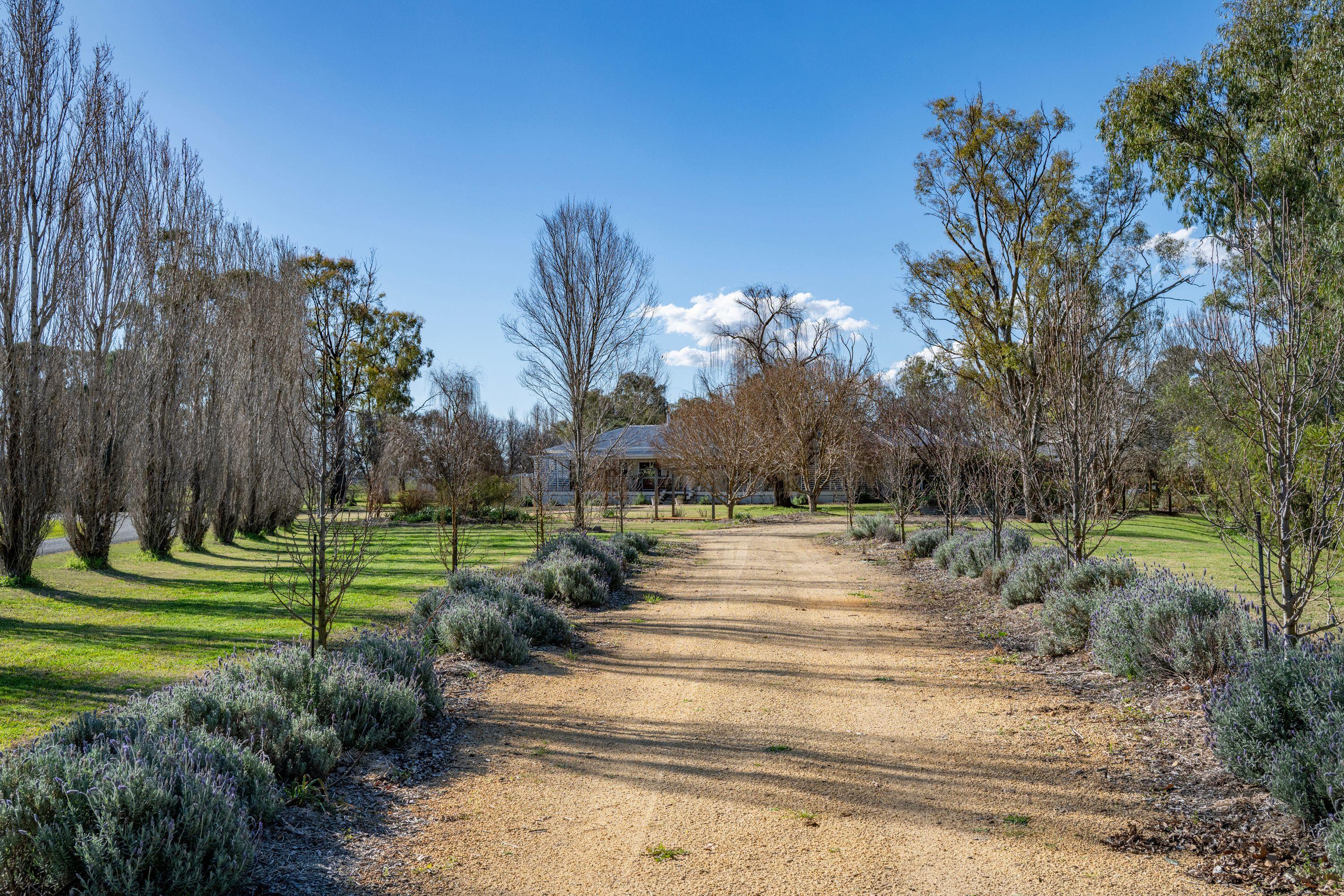 Cropping for Sale: Ellangowan, QLD 4361, QLD, 4361