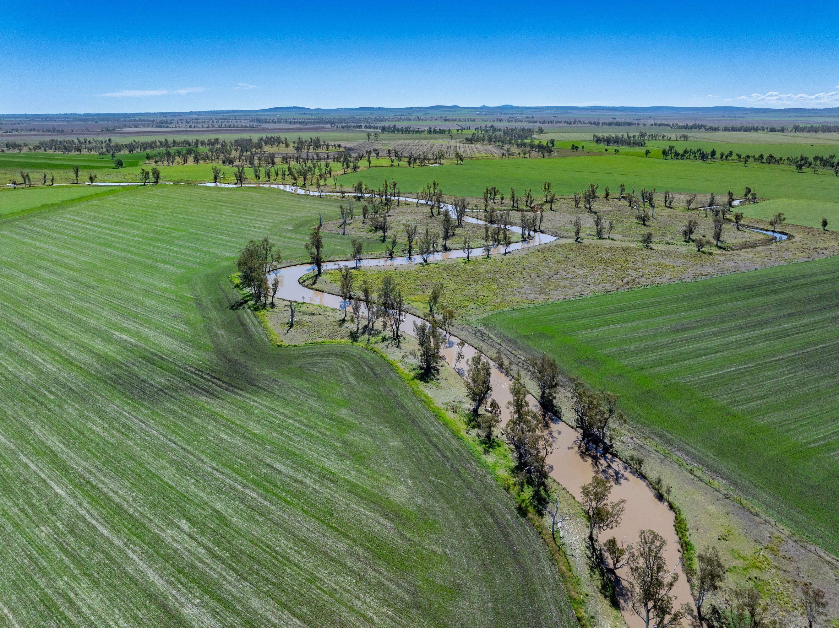 Cropping for Sale: Ellangowan, QLD 4361, QLD, 4361