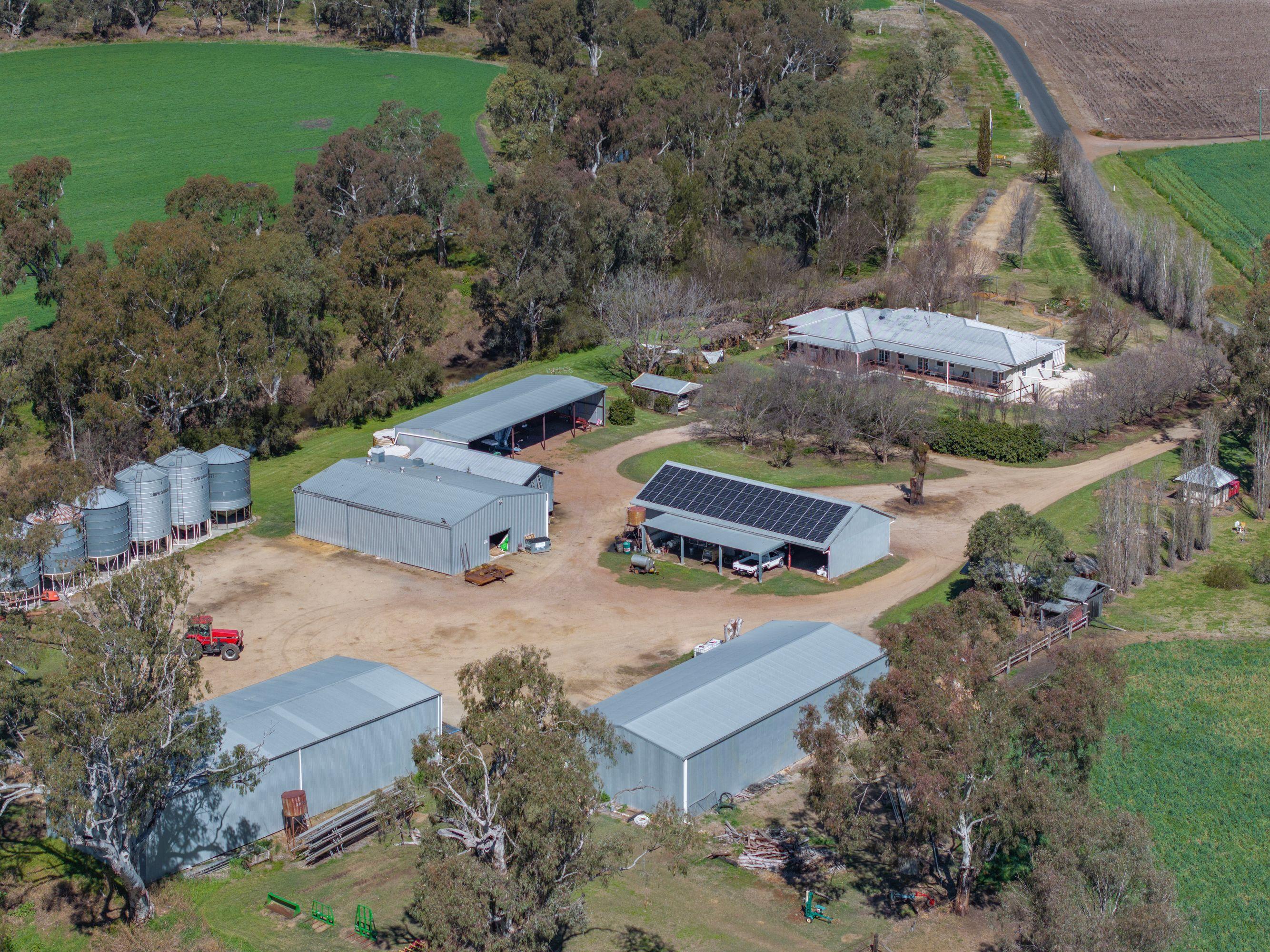 Cropping for Sale: Ellangowan, QLD 4361, QLD, 4361