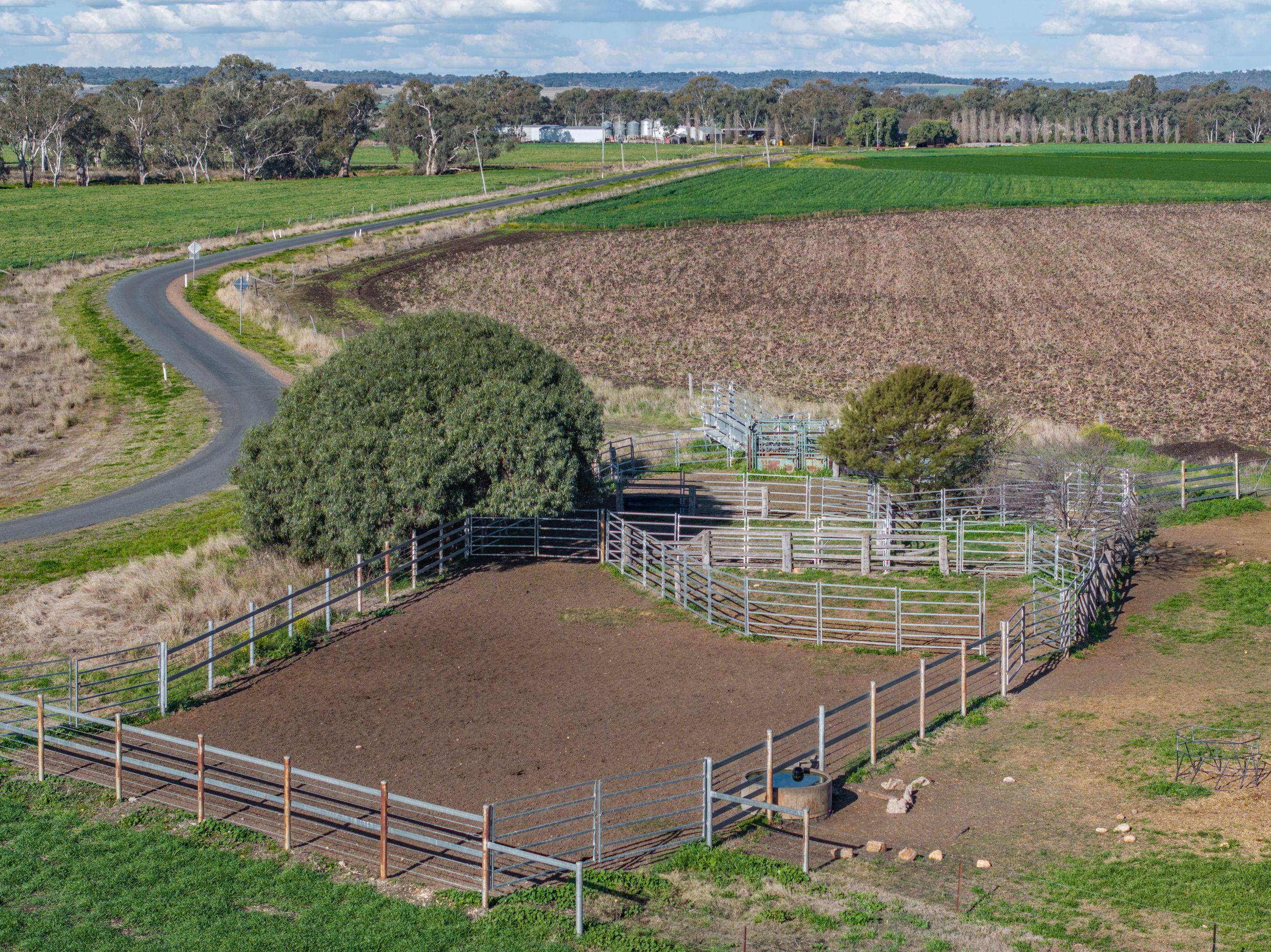 Cropping for Sale: Ellangowan, QLD 4361, QLD, 4361