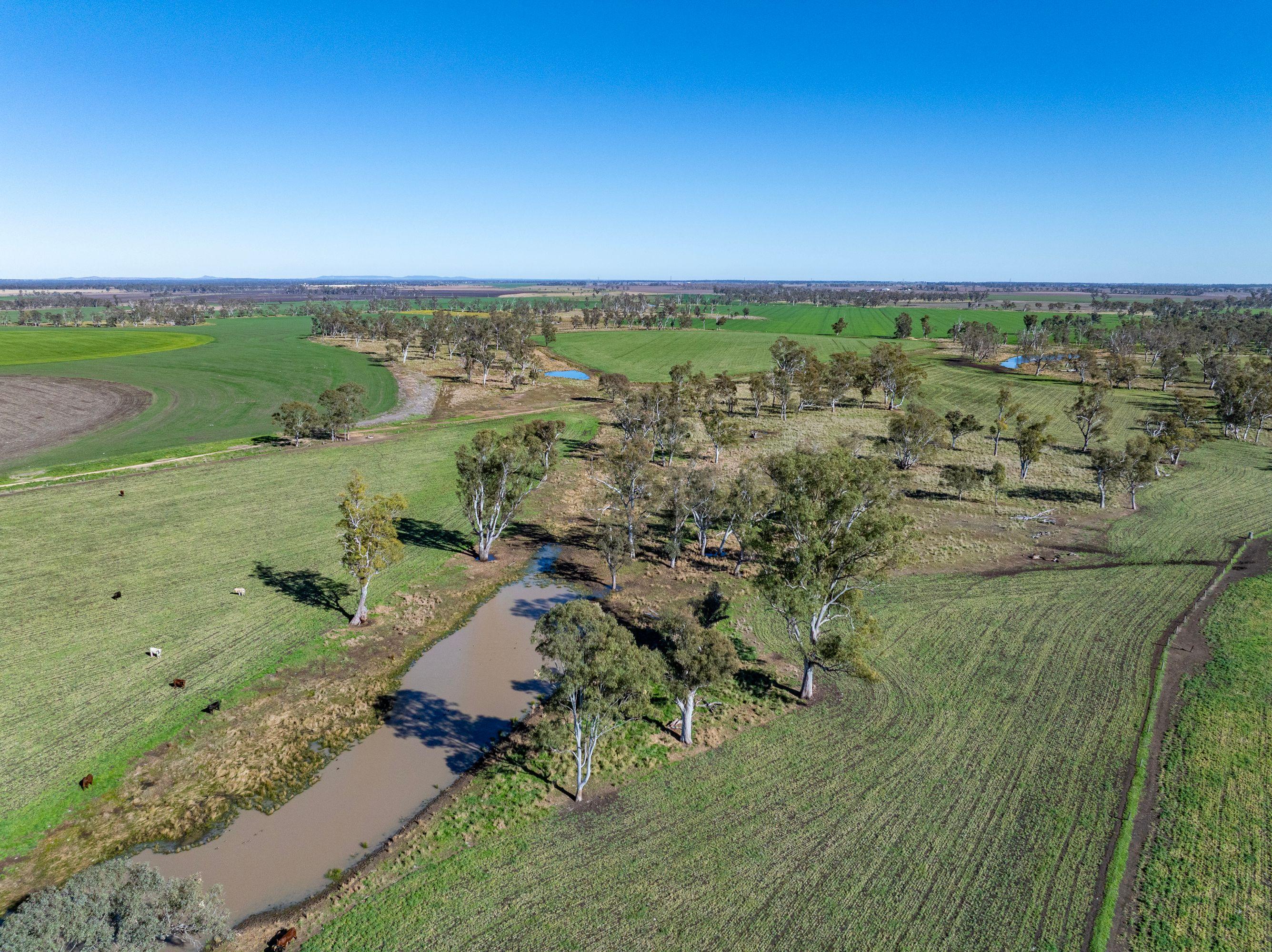 Cropping for Sale: Ellangowan, QLD 4361, QLD, 4361