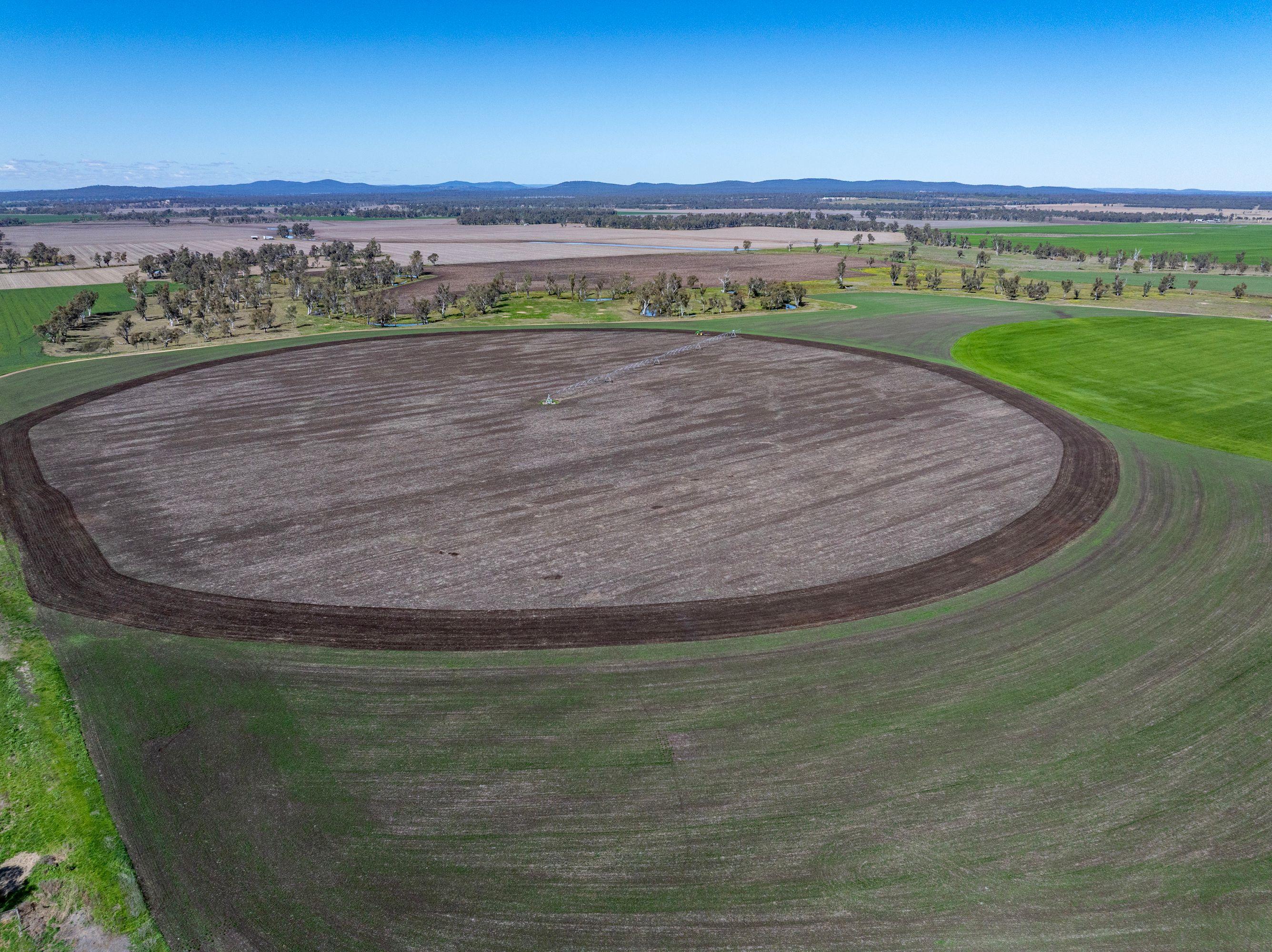 Cropping for Sale: Ellangowan, QLD 4361, QLD, 4361