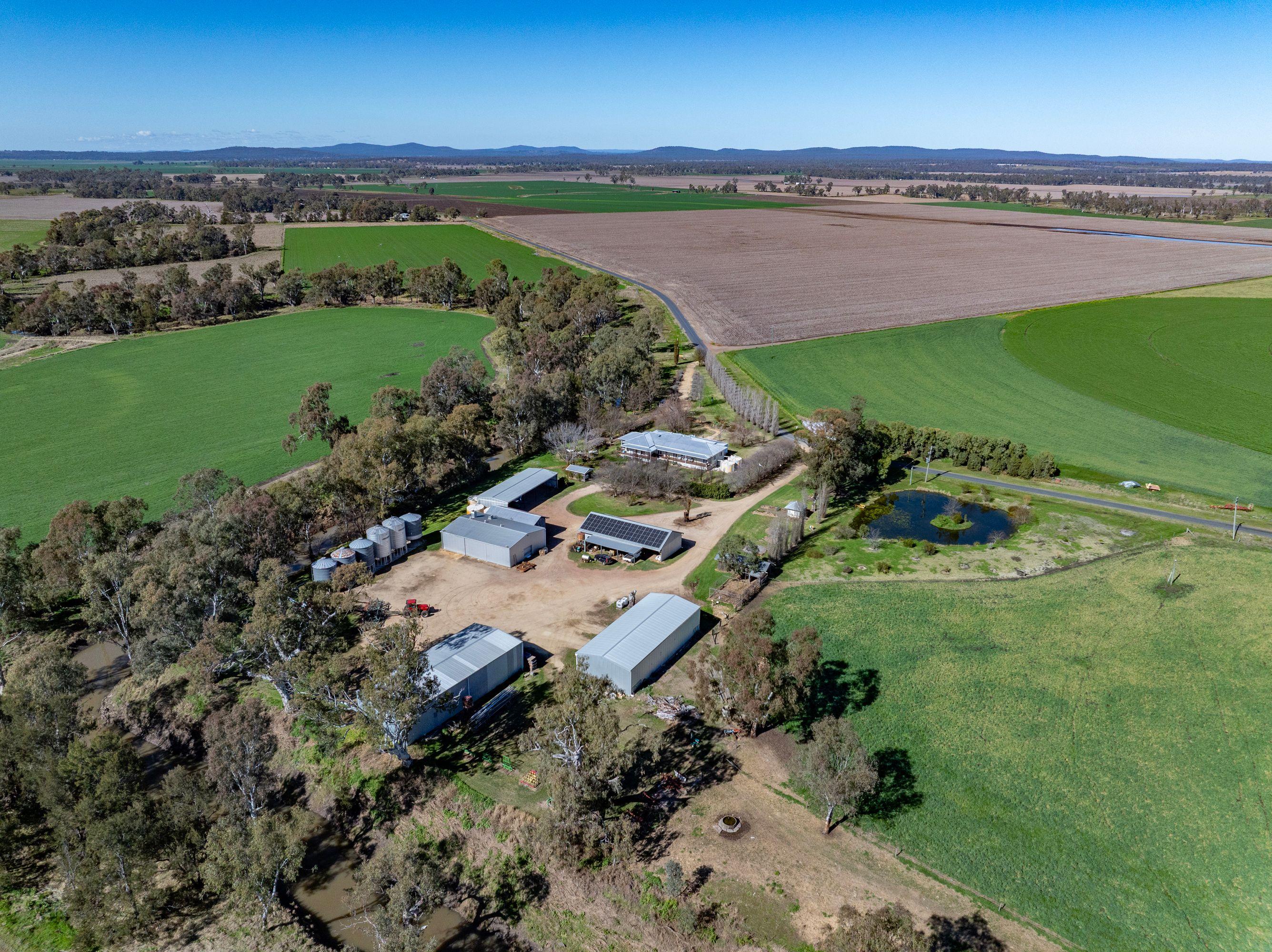 Cropping for Sale: Ellangowan, QLD 4361, QLD, 4361