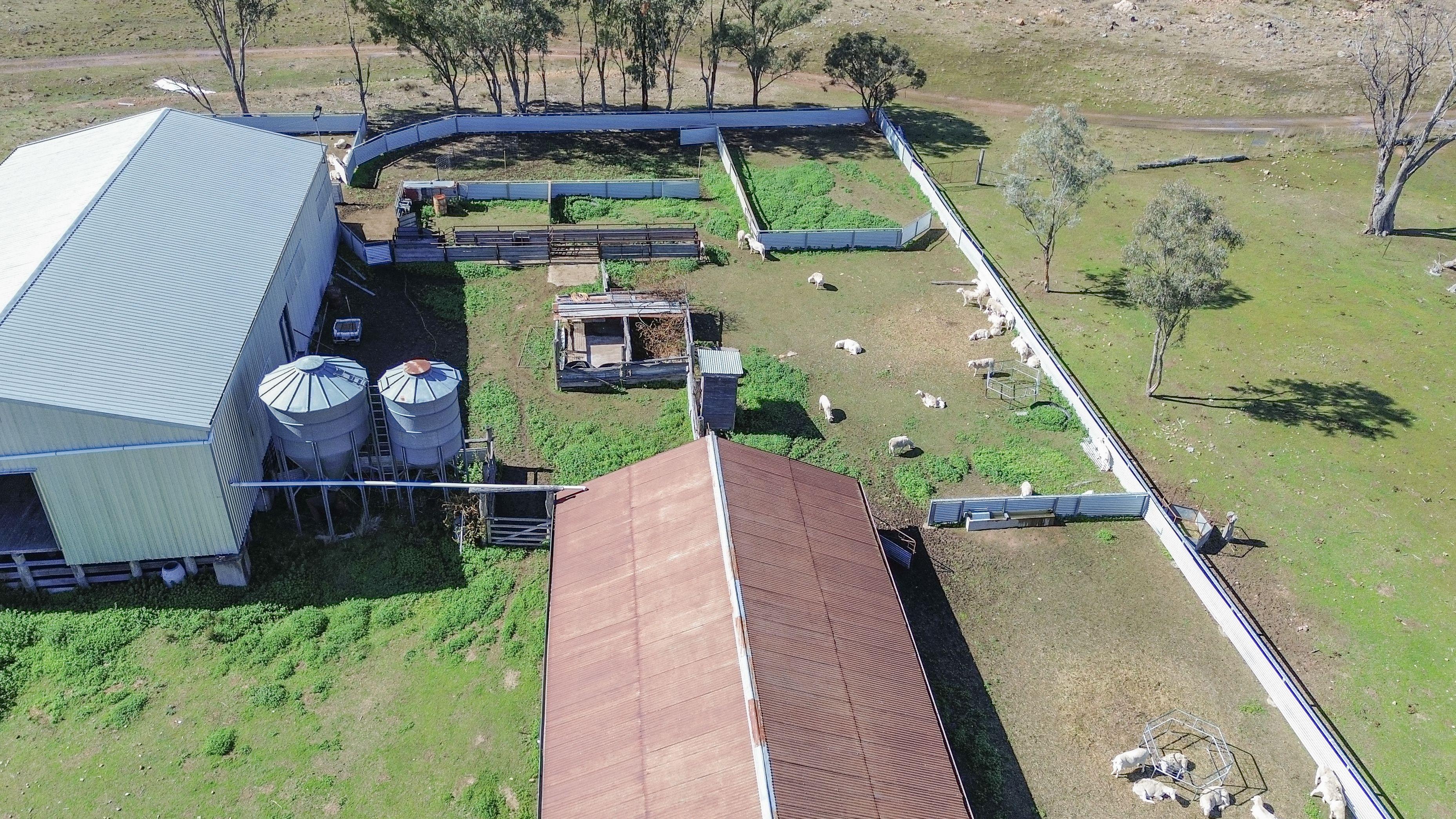 Mixed Farming for Sale: Greenup, QLD 4387, QLD, 4387