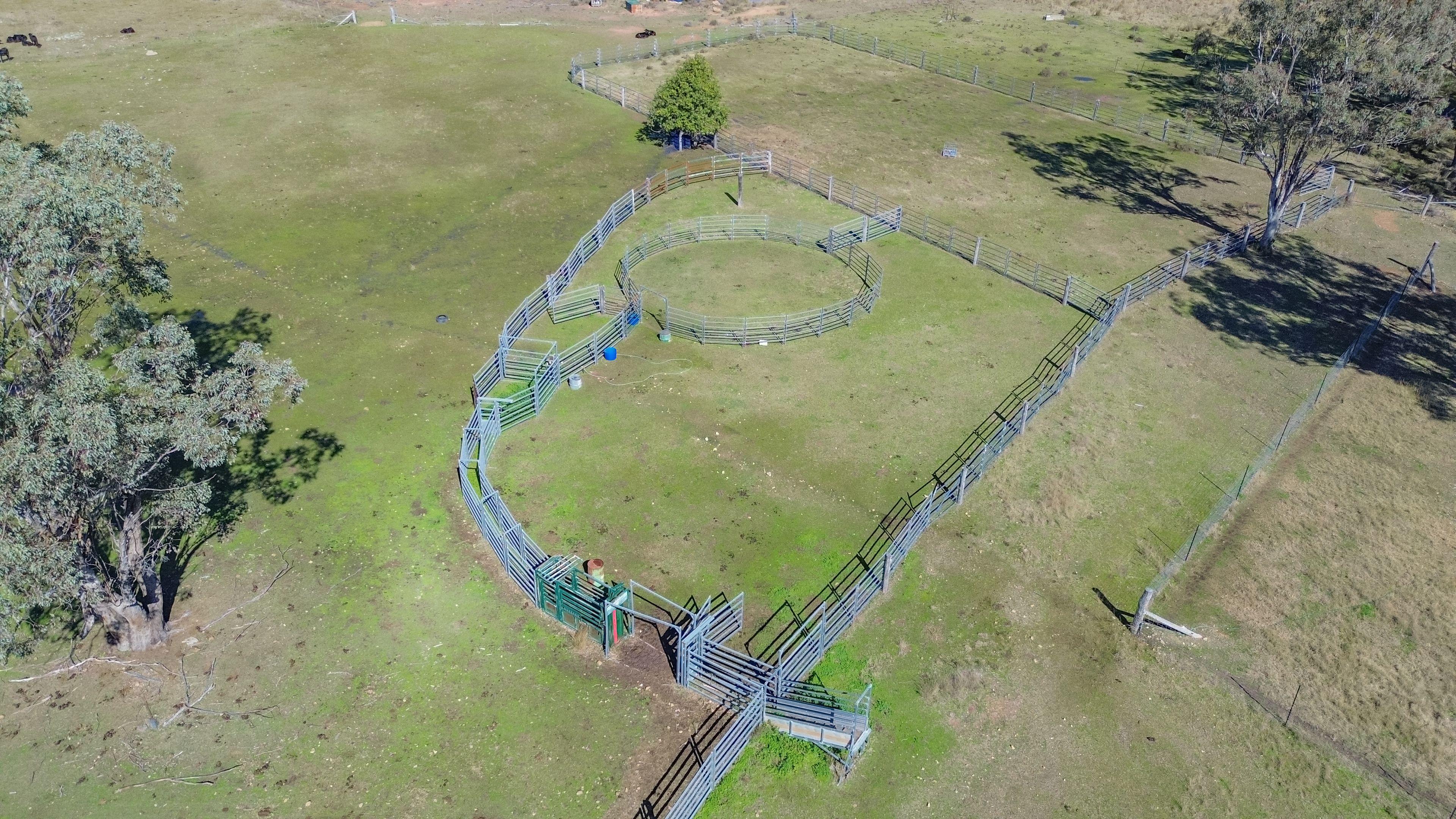 Mixed Farming for Sale: Greenup, QLD 4387, QLD, 4387