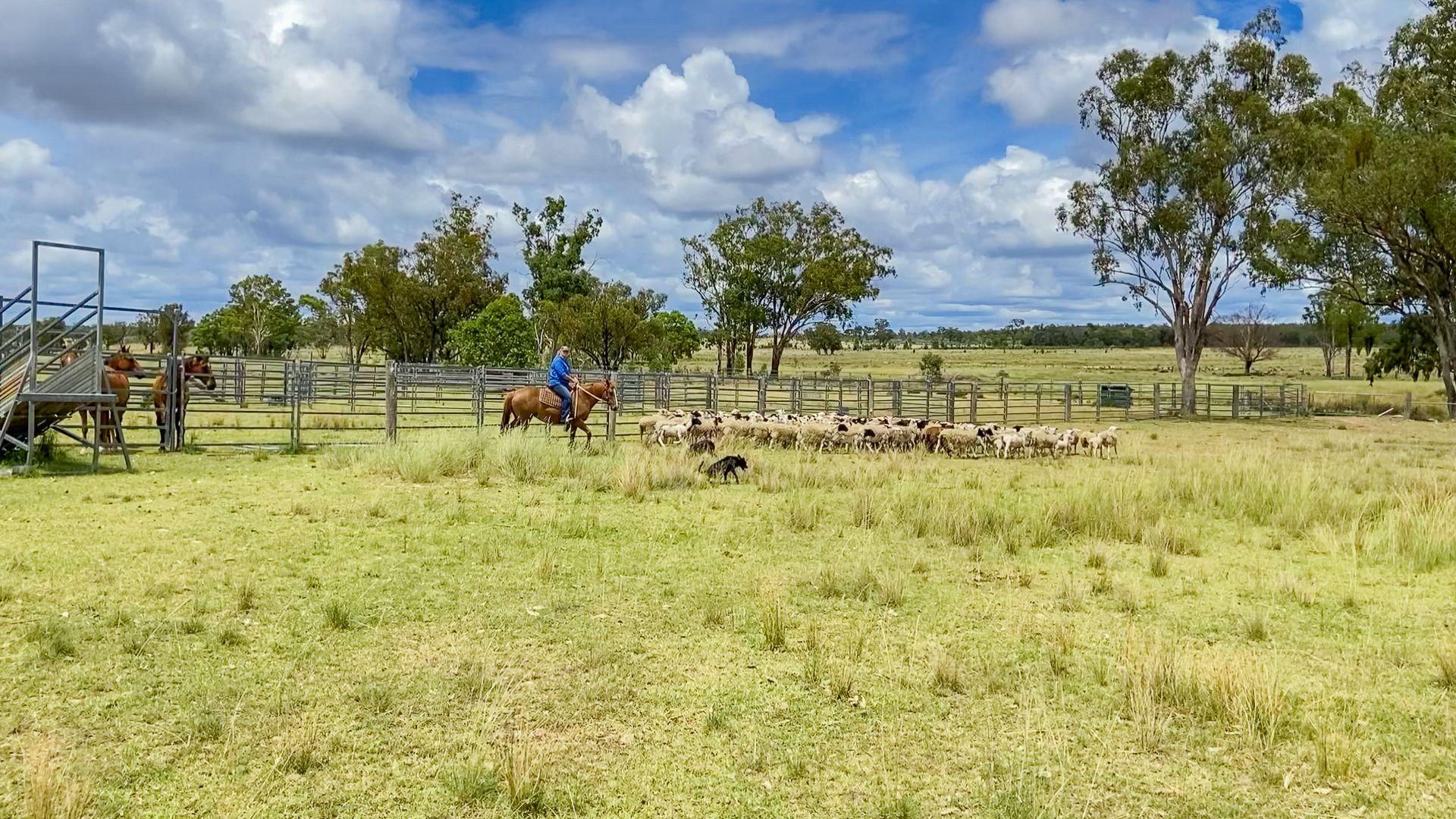 Mixed Farming for Sale: Greenup, QLD 4387, QLD, 4387