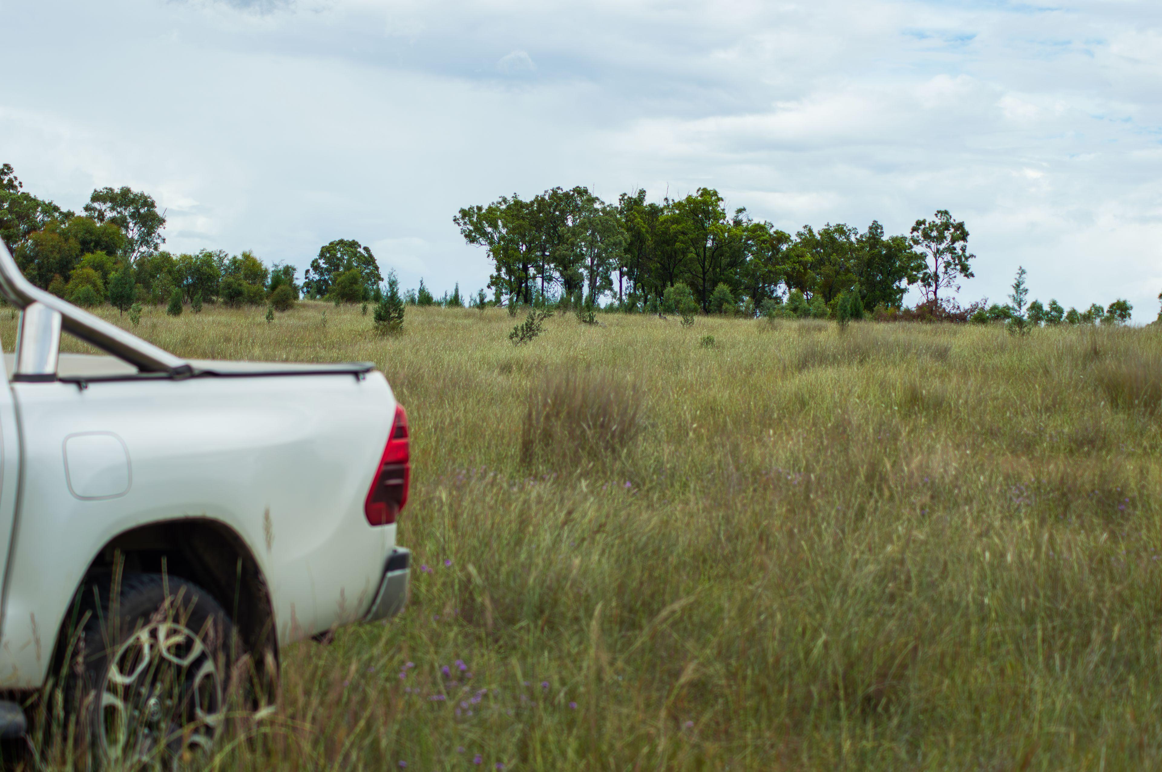 Mixed Farming for Sale: Greenup, QLD 4387, QLD, 4387