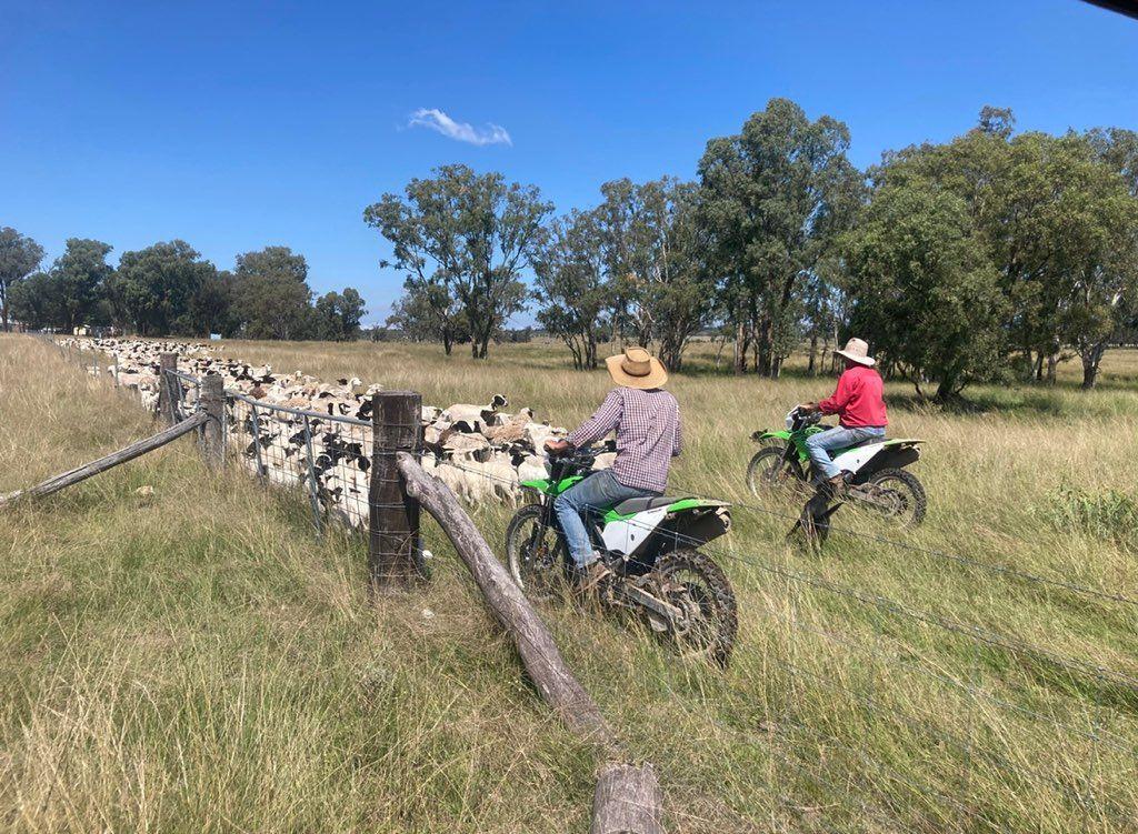 Mixed Farming for Sale: Greenup, QLD 4387, QLD, 4387