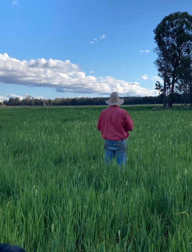 Mixed Farming for Sale: Greenup, QLD 4387, QLD, 4387