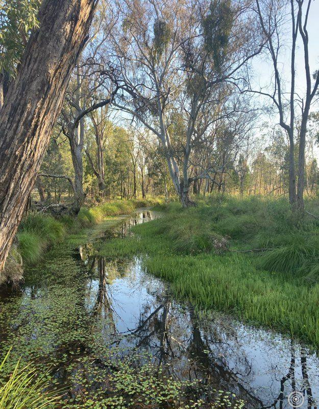 Mixed Farming for Sale: Greenup, QLD 4387, QLD, 4387