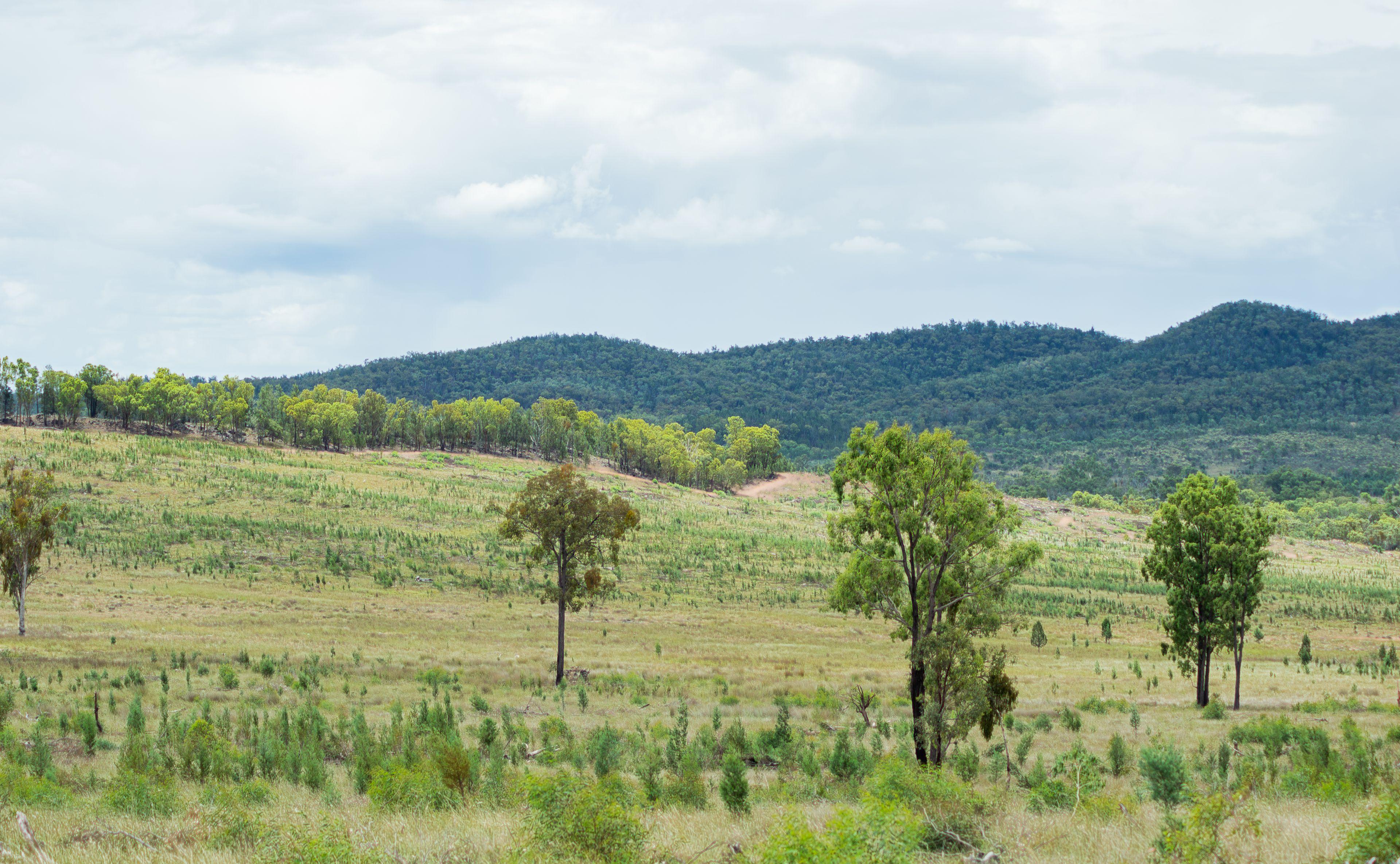 Mixed Farming for Sale: Greenup, QLD 4387, QLD, 4387
