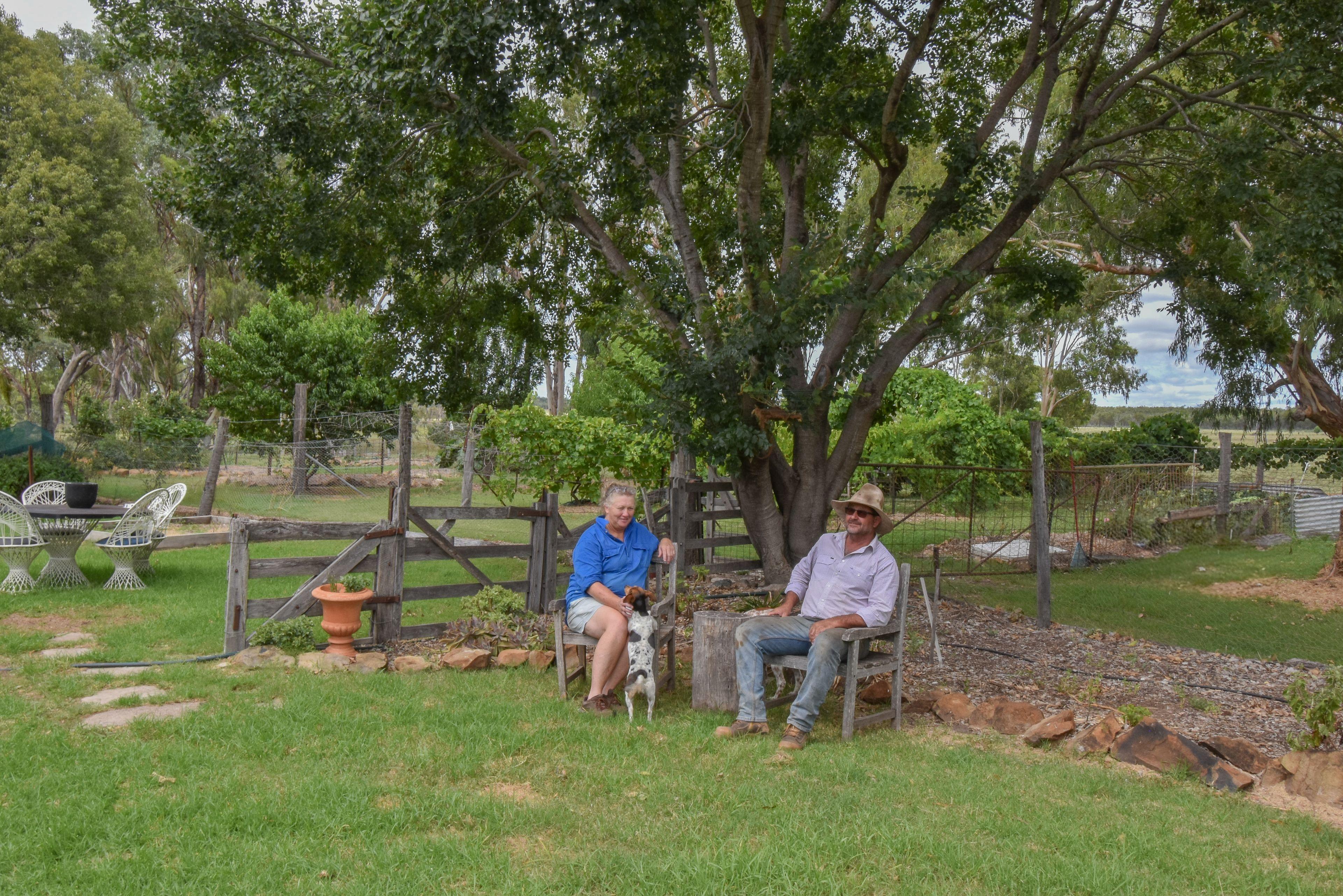 Mixed Farming for Sale: Greenup, QLD 4387, QLD, 4387