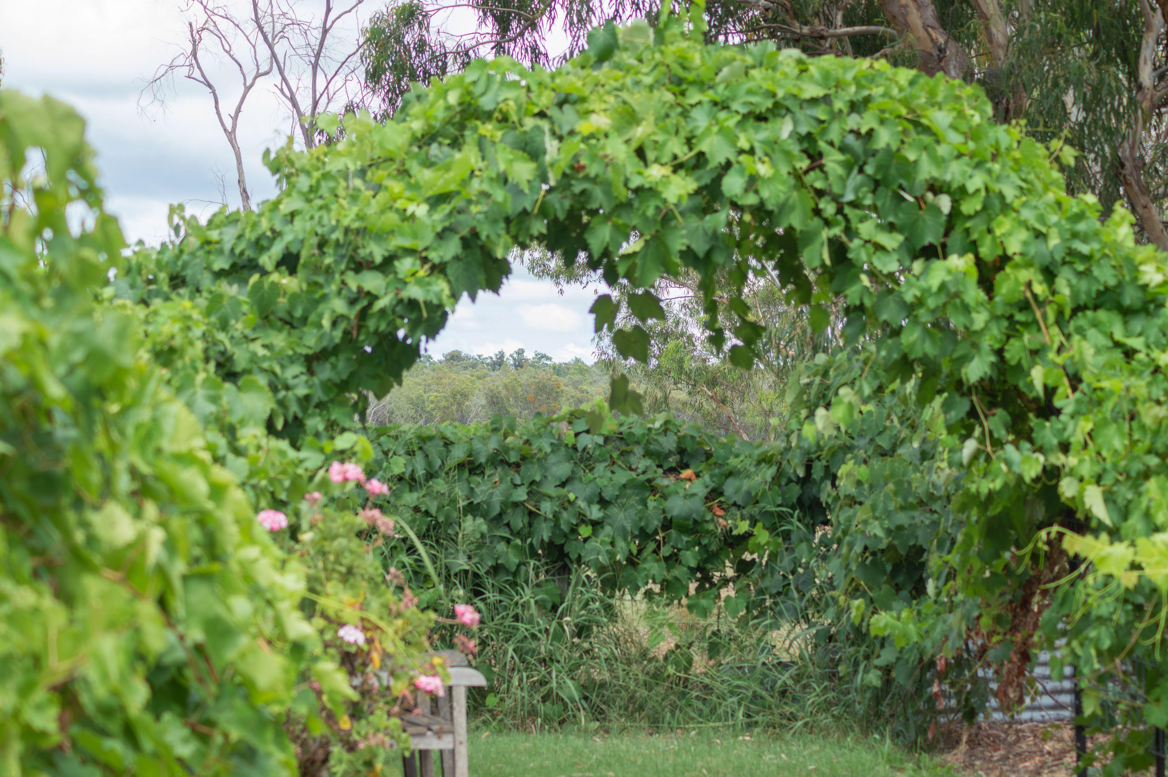 Mixed Farming for Sale: Greenup, QLD 4387, QLD, 4387