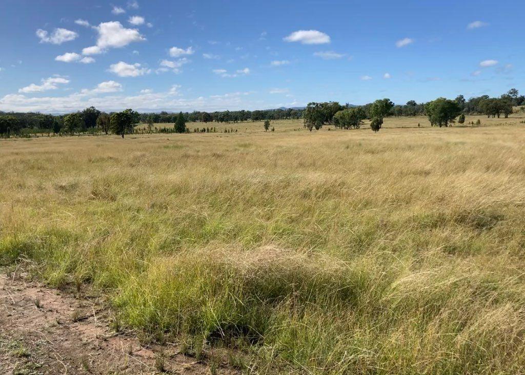 Mixed Farming for Sale: Greenup, QLD 4387, QLD, 4387