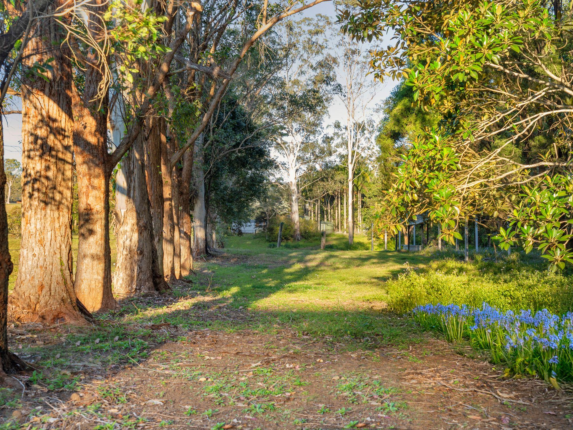 Acreage/Semi-Rural for Sale: Maudsland, QLD 4210, QLD, 4210