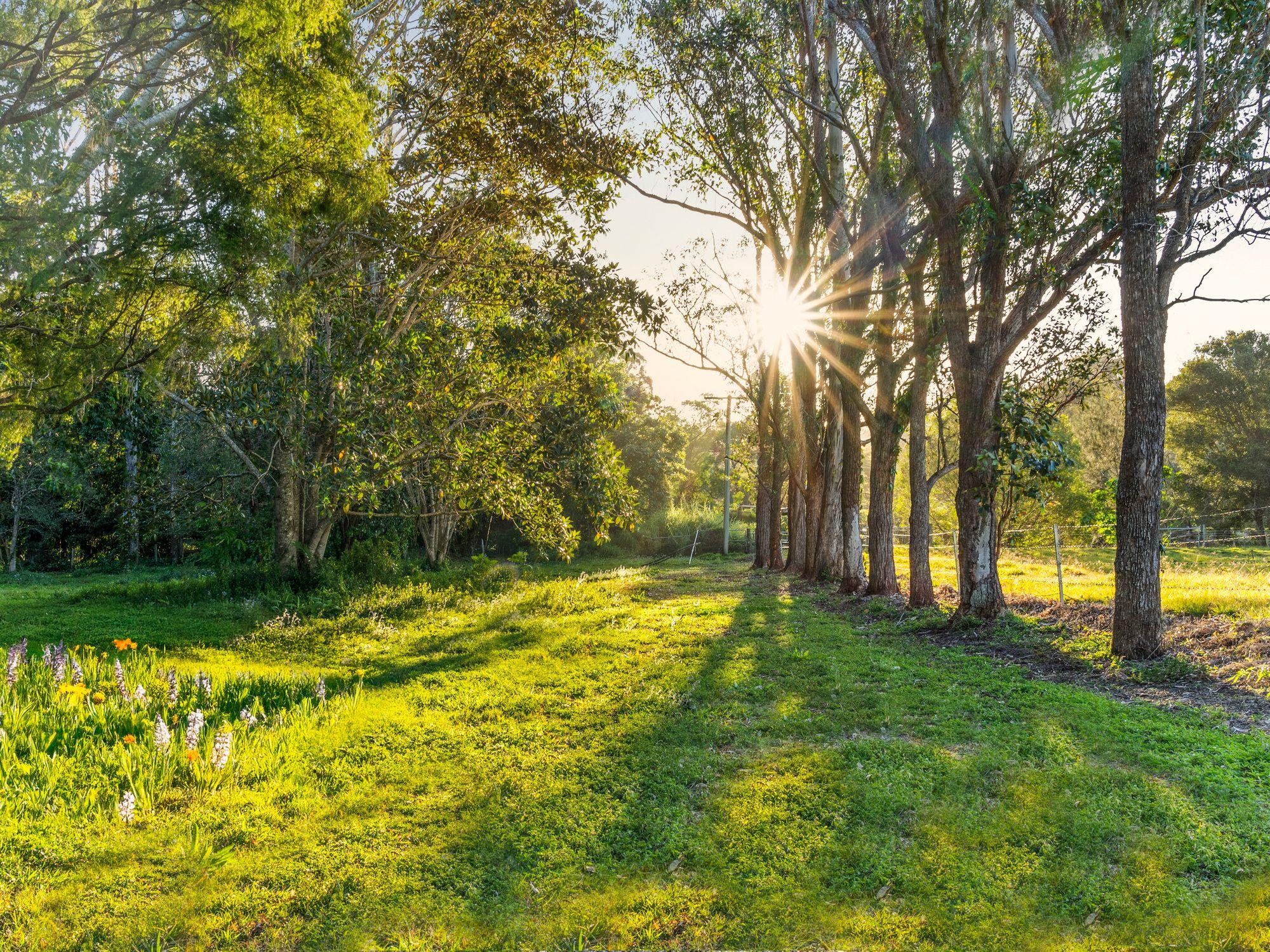 Acreage/Semi-Rural for Sale: Maudsland, QLD 4210, QLD, 4210