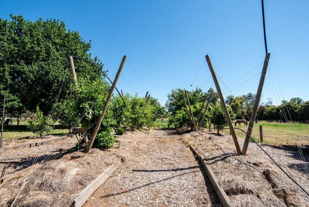 Cropping for Sale: Kyvalley, VIC 3621, VIC, 3621