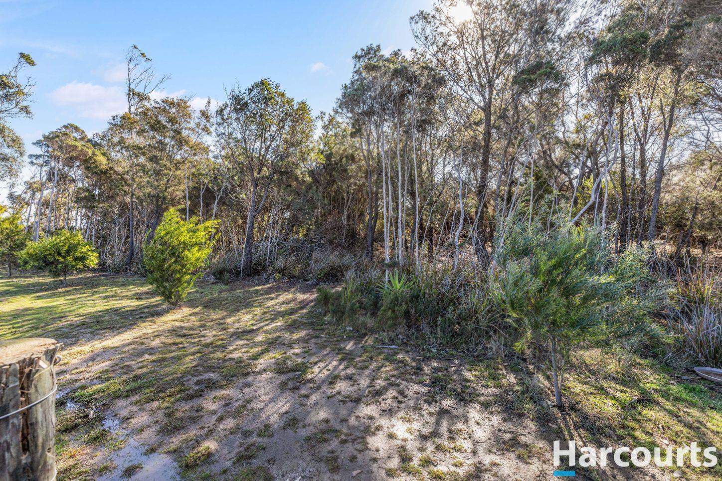 House for Sale: Northdown, TAS 7307, TAS, 7307