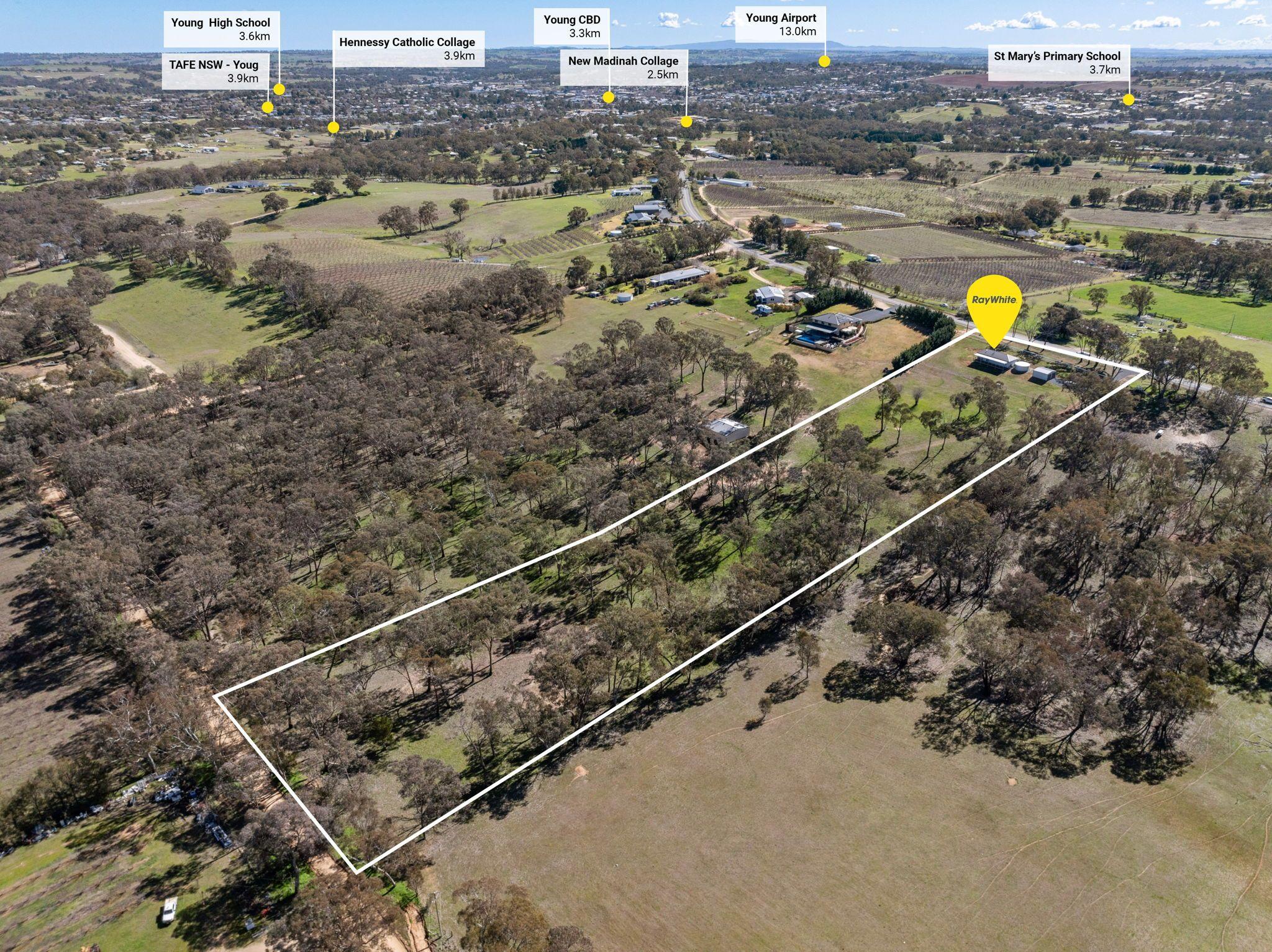 House for Sale: Young, NSW 2594, NSW, 2594