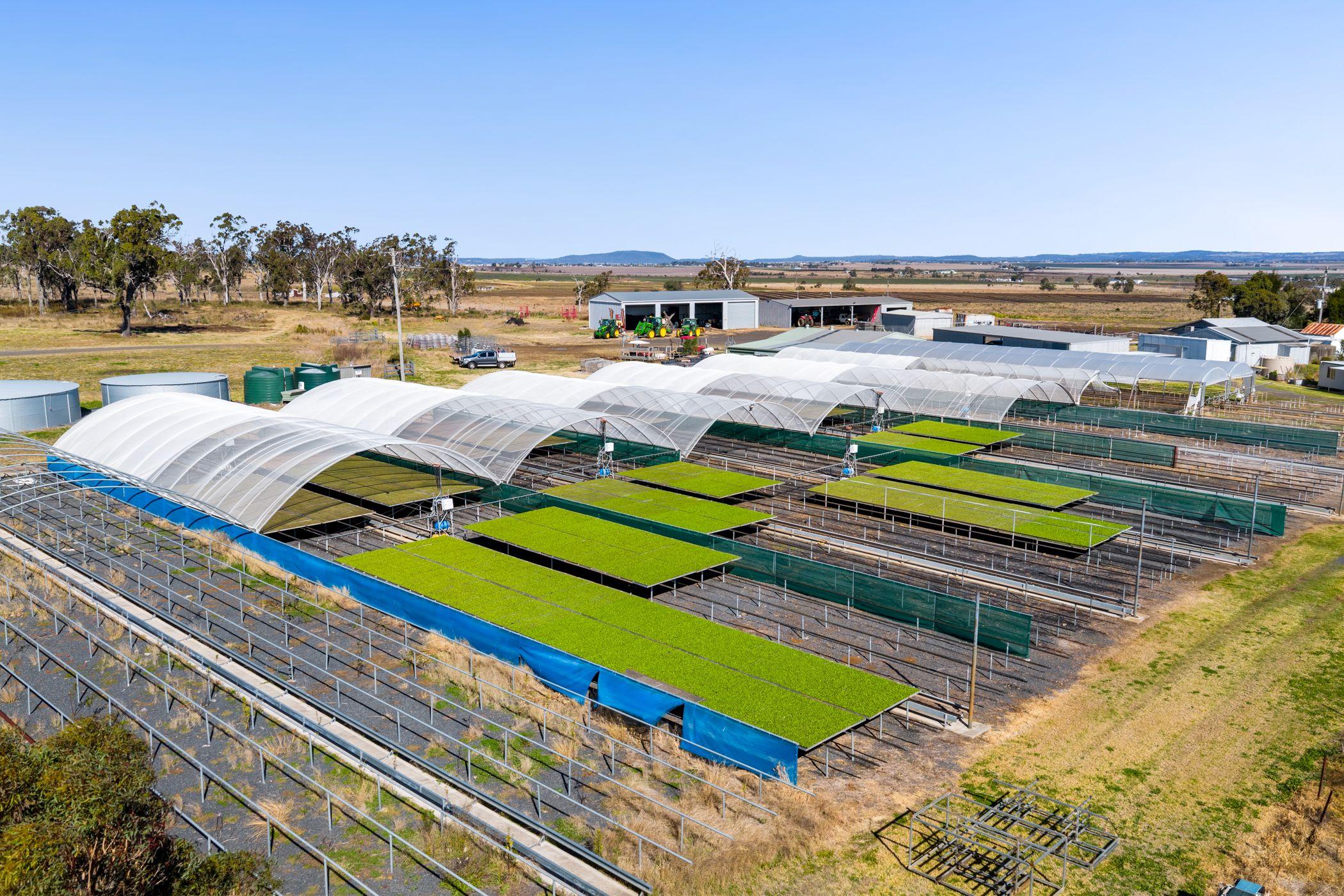 Prop-GPT: Horticulture: QLD Finnie, QLD 4350 Rural