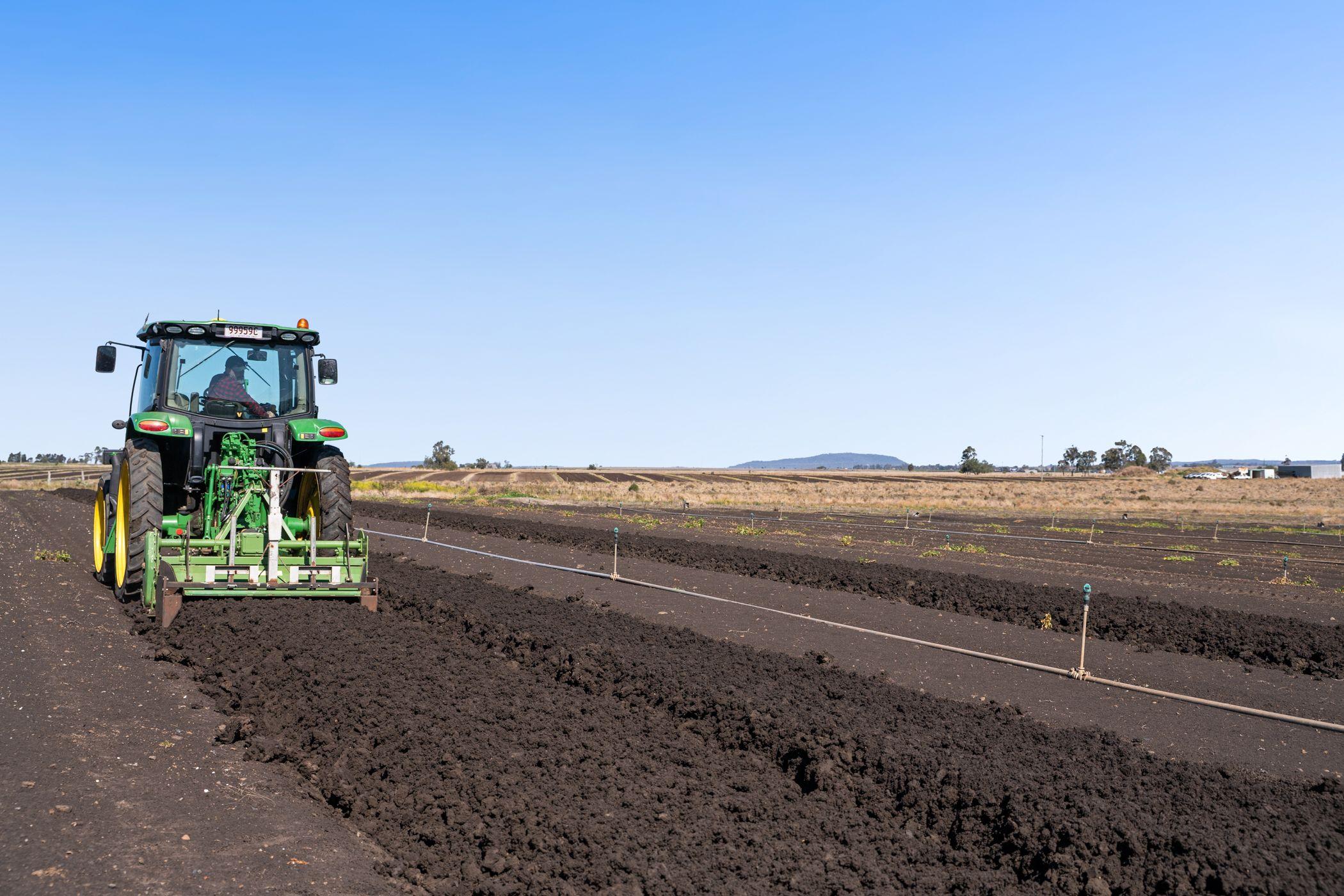 Horticulture for Sale: Finnie, QLD 4350, QLD, 4350