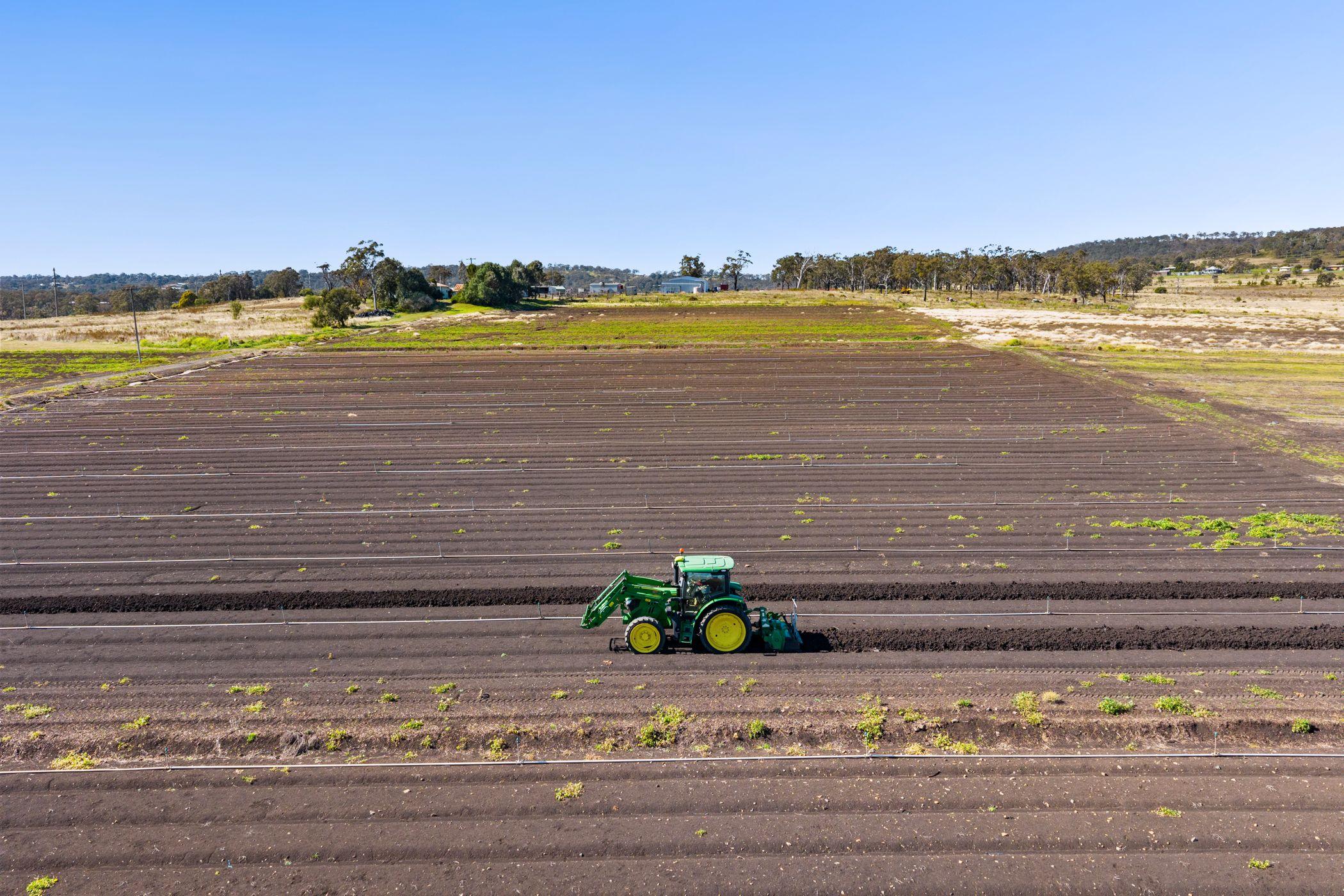 Horticulture for Sale: Finnie, QLD 4350, QLD, 4350