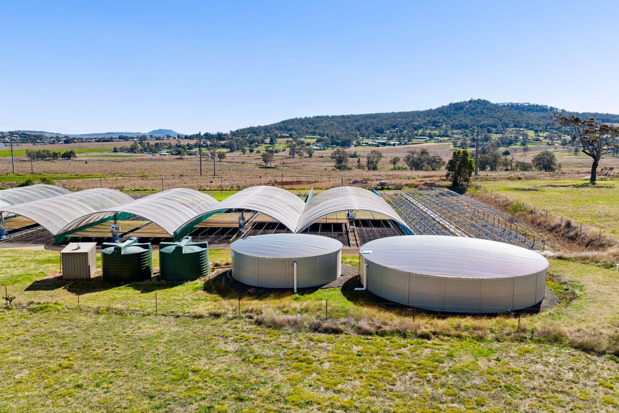 Horticulture for Sale: Finnie, QLD 4350, QLD, 4350
