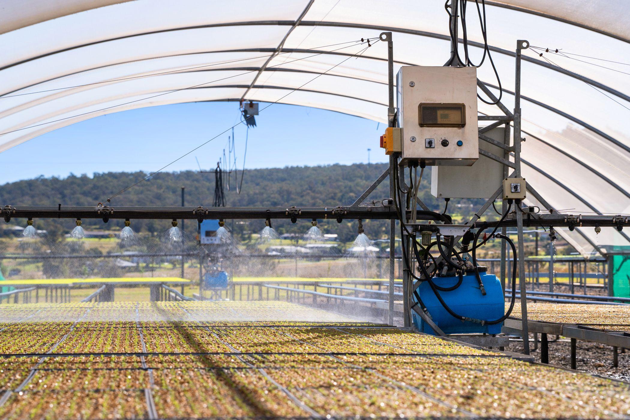 Horticulture for Sale: Finnie, QLD 4350, QLD, 4350
