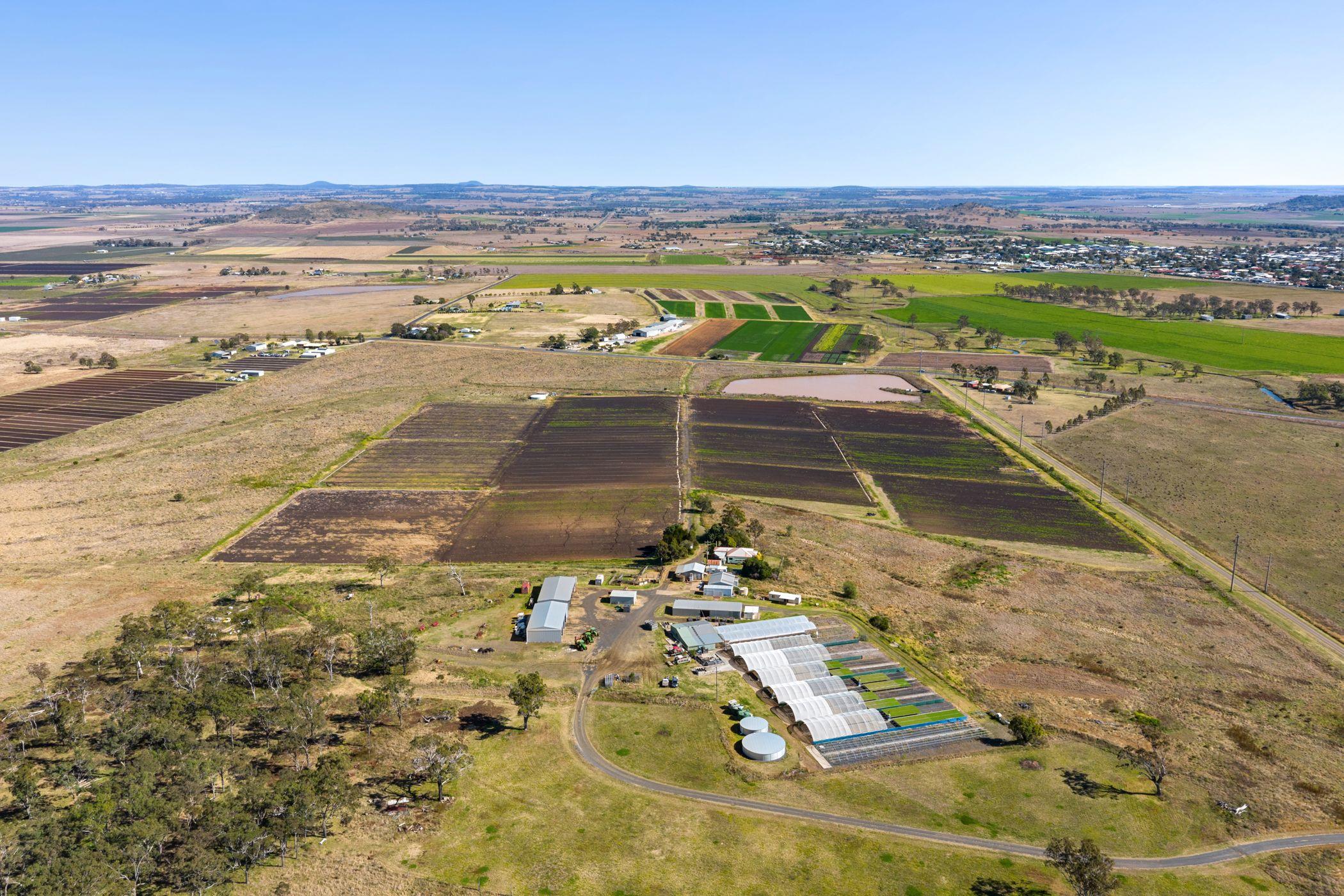 Horticulture for Sale: Finnie, QLD 4350, QLD, 4350