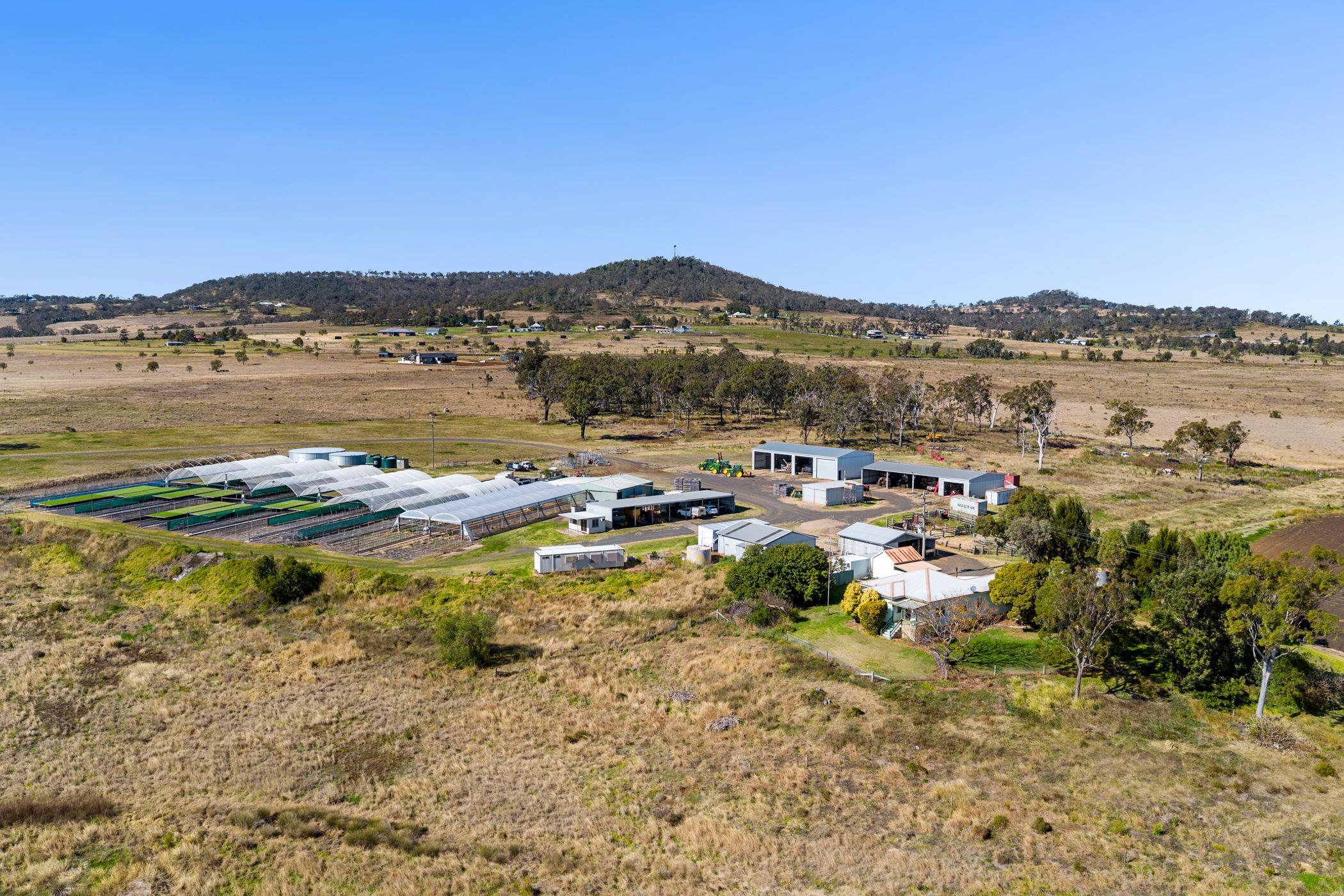 Horticulture for Sale: Finnie, QLD 4350, QLD, 4350