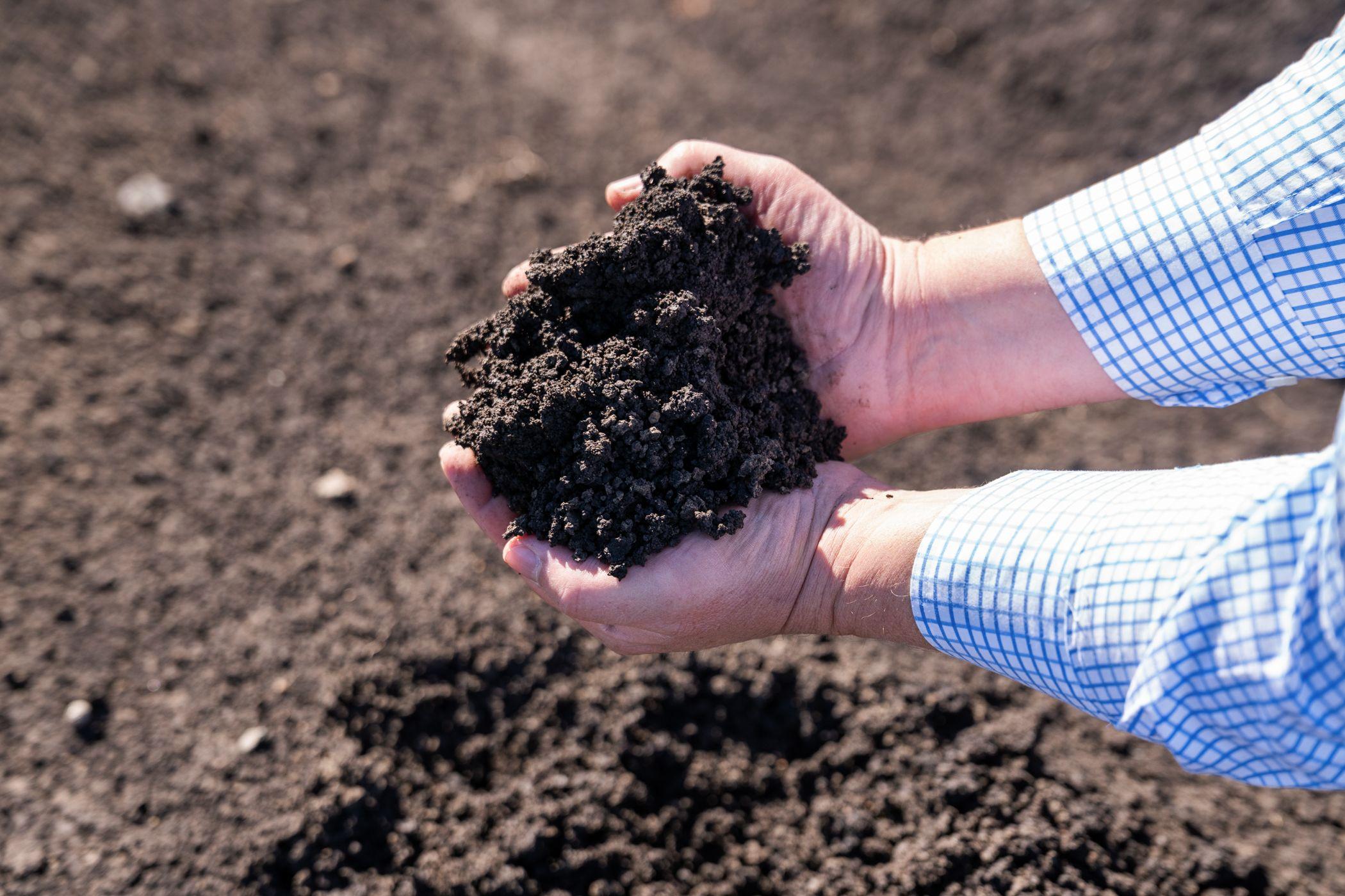 Horticulture for Sale: Finnie, QLD 4350, QLD, 4350