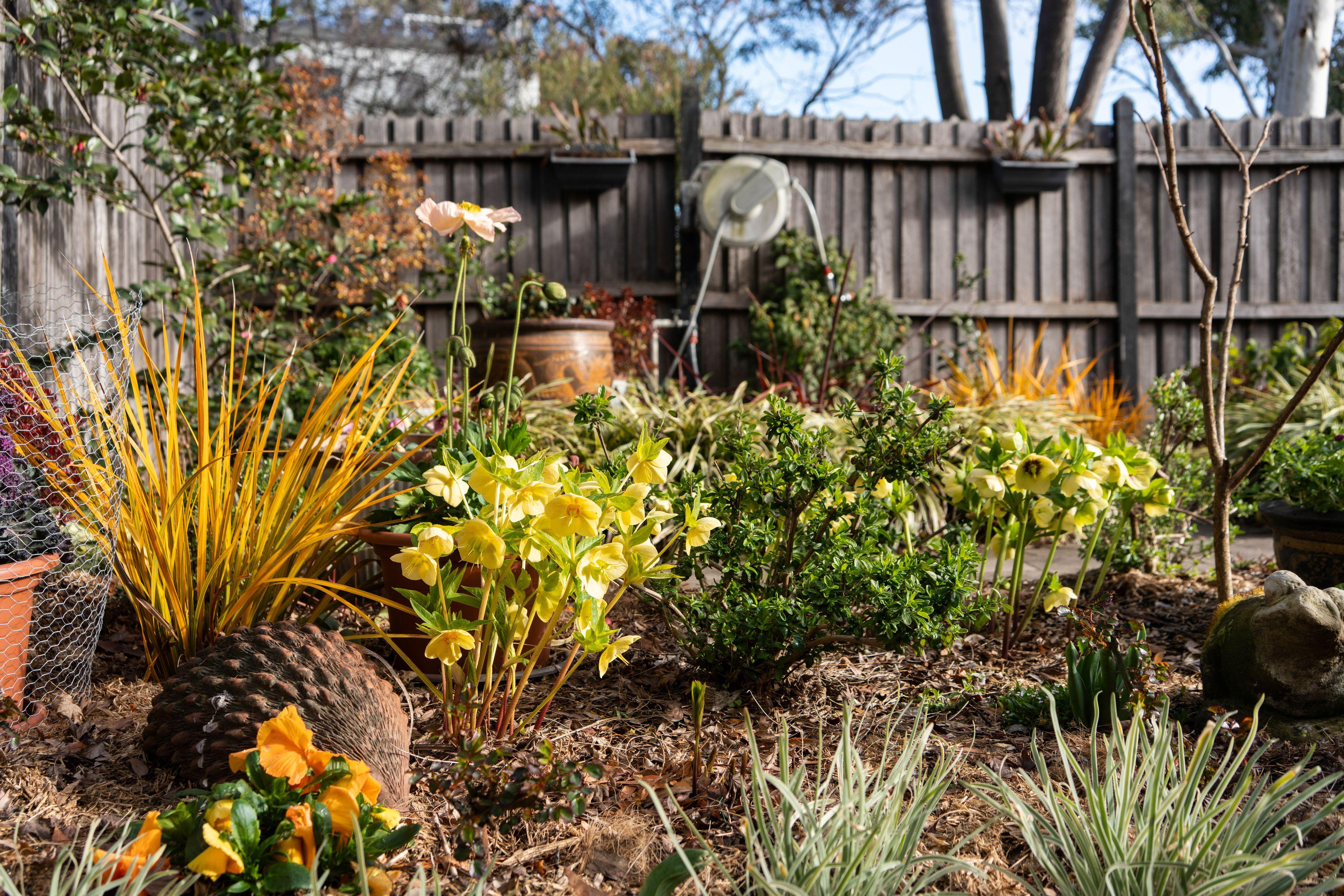 Unit for Sale: Belconnen, ACT 2617, ACT, 2617
