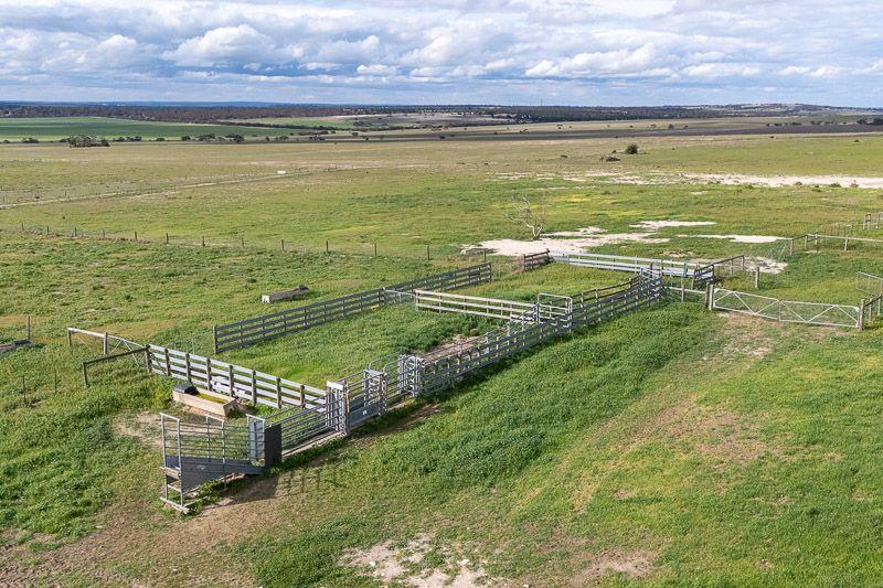 House for Sale: Monarto South, SA 5254, SA, 5254