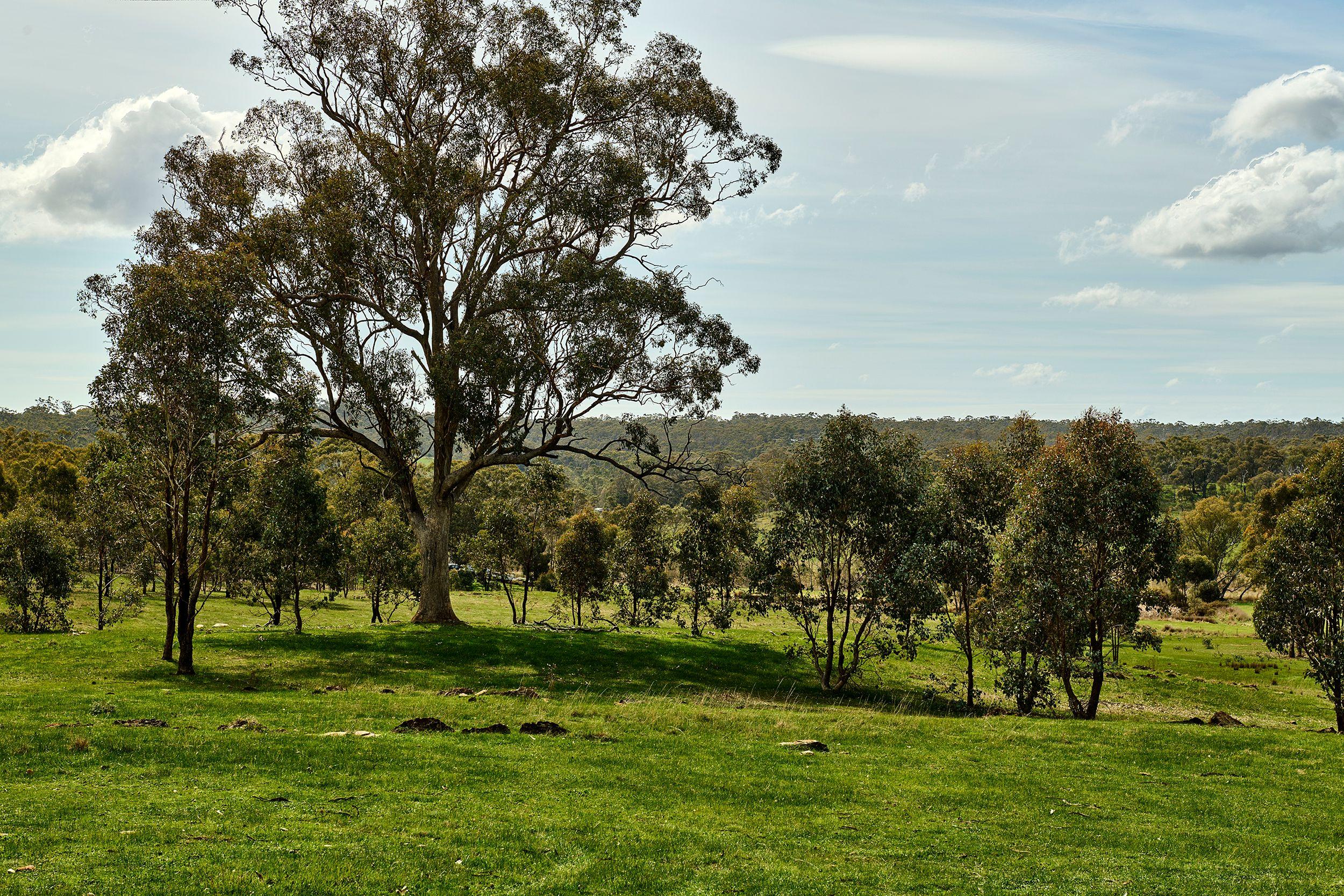 Prop-GPT: Land: VIC Heathcote, VIC 3523 Home For Sale