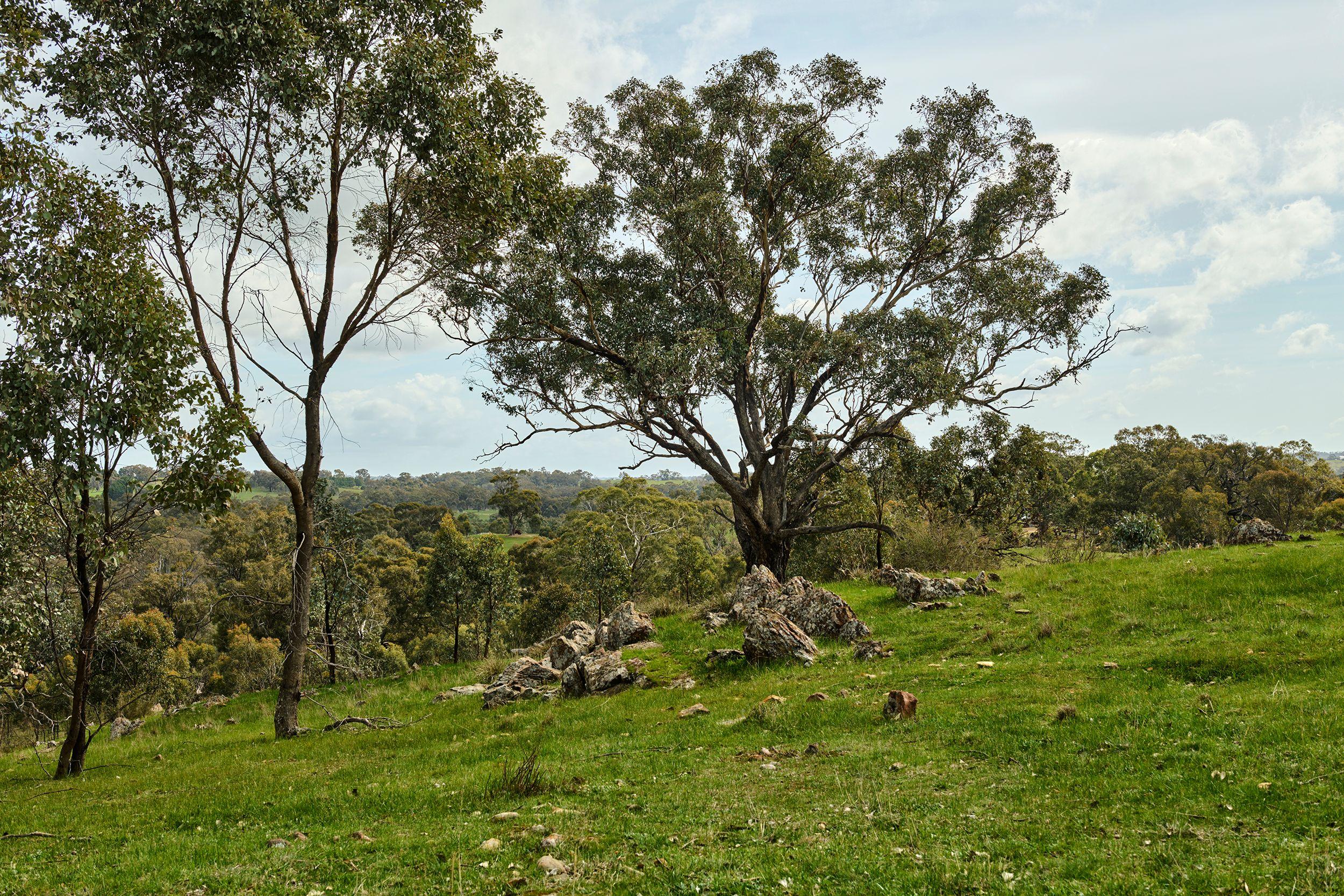 Land for Sale: Heathcote, VIC 3523, VIC, 3523