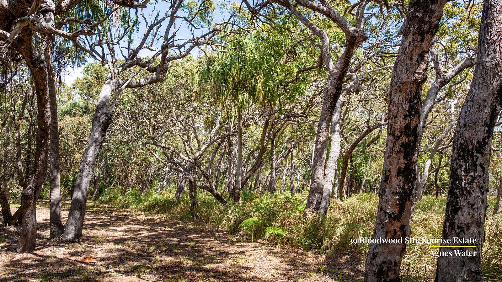 Land for Sale: Agnes Water, QLD 4677, QLD, 4677