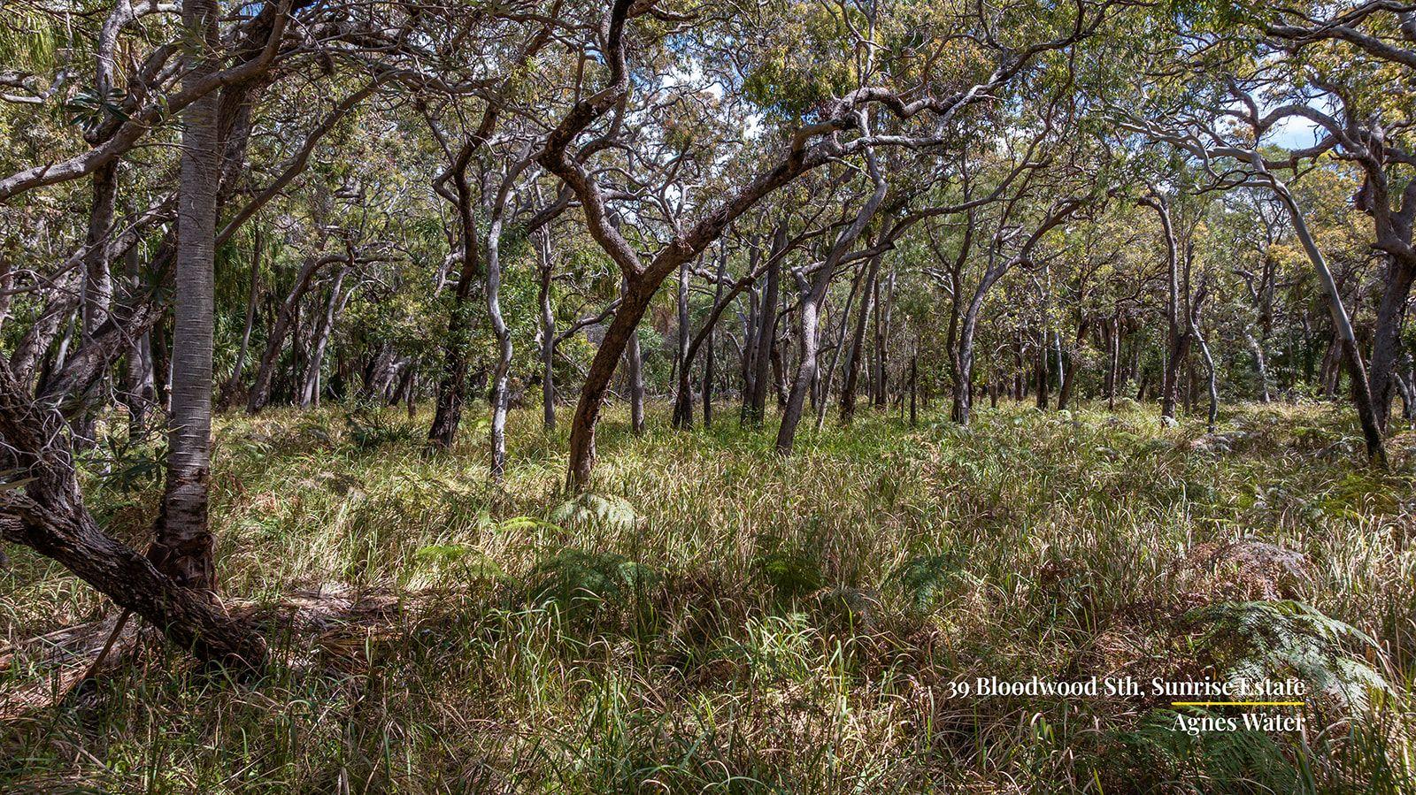 Land for Sale: Agnes Water, QLD 4677, QLD, 4677