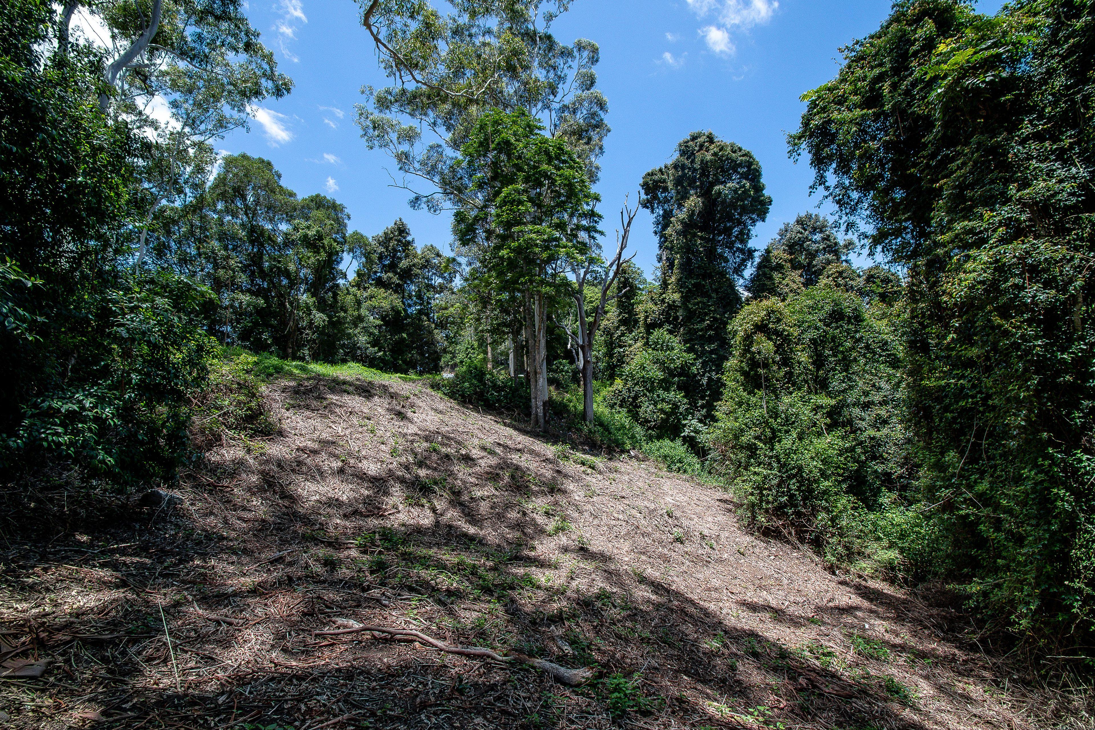 Land for Sale: Mount Pleasant, QLD 4521, QLD, 4521