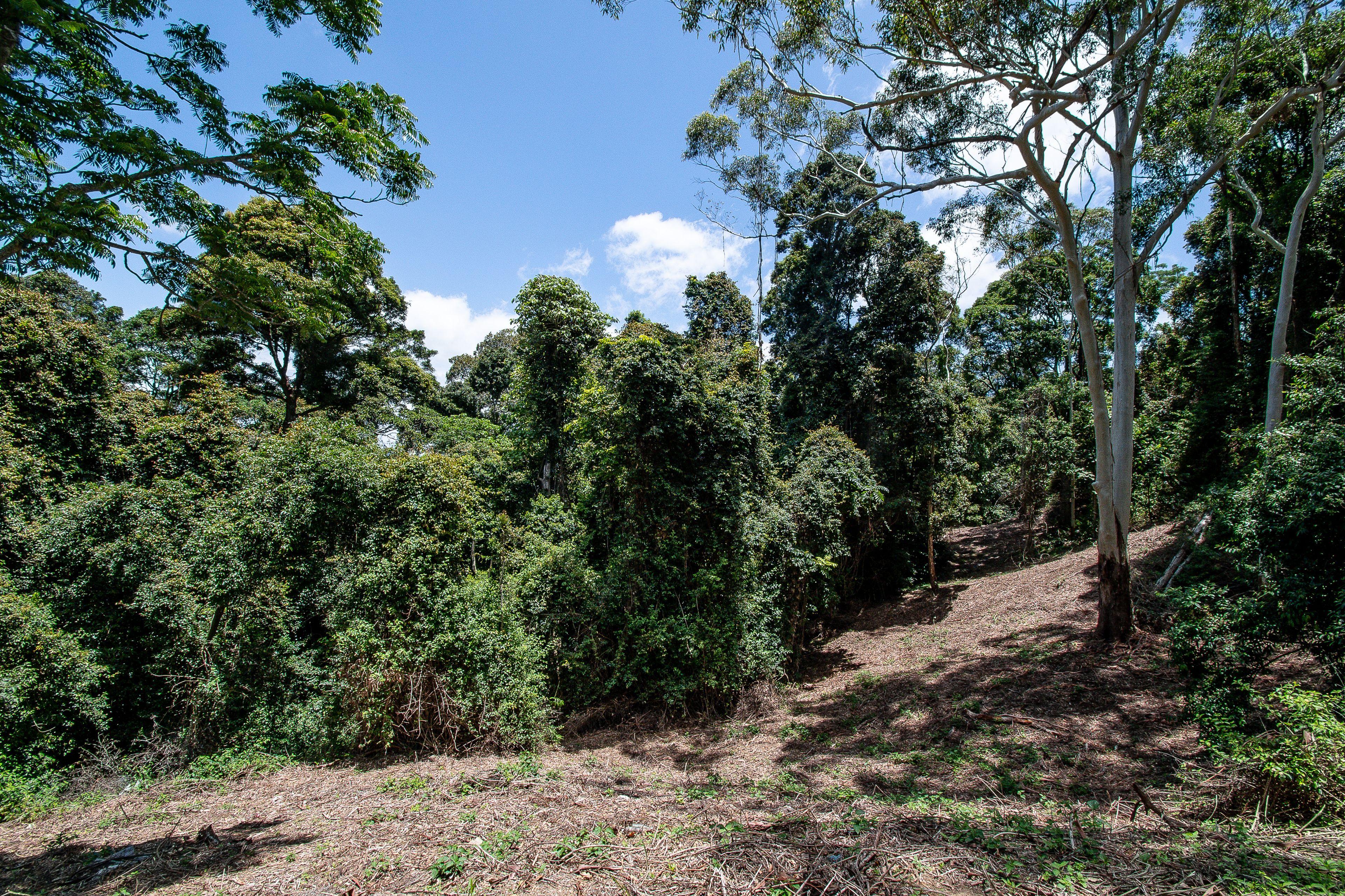 Land for Sale: Mount Pleasant, QLD 4521, QLD, 4521